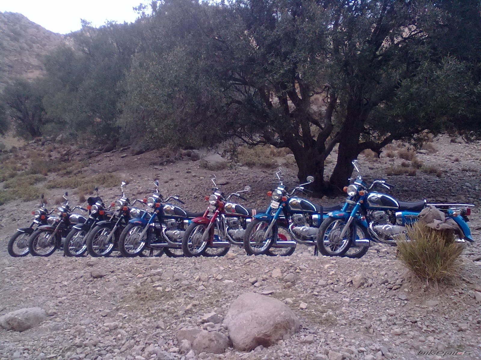 Photo 2384761