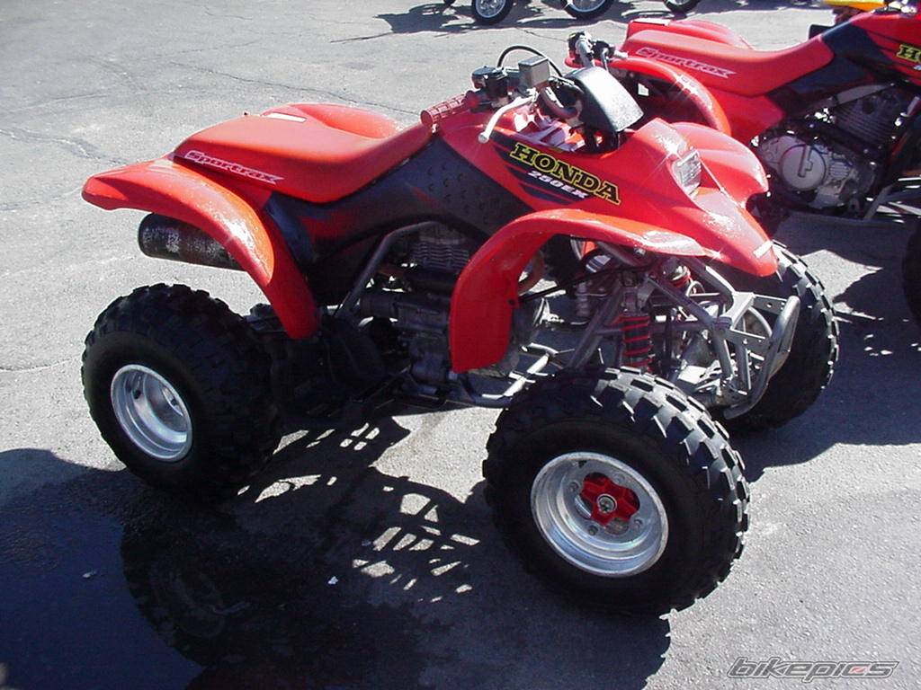 Bike Photo 238477