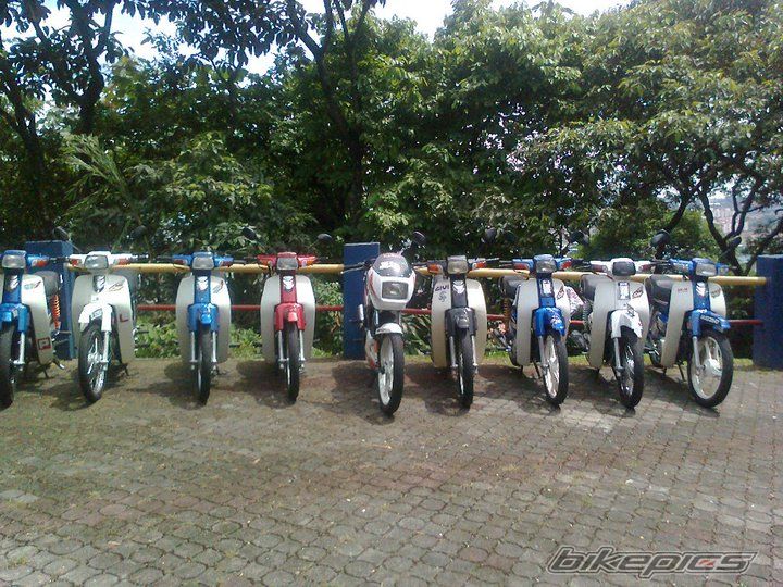 Photo 2384781