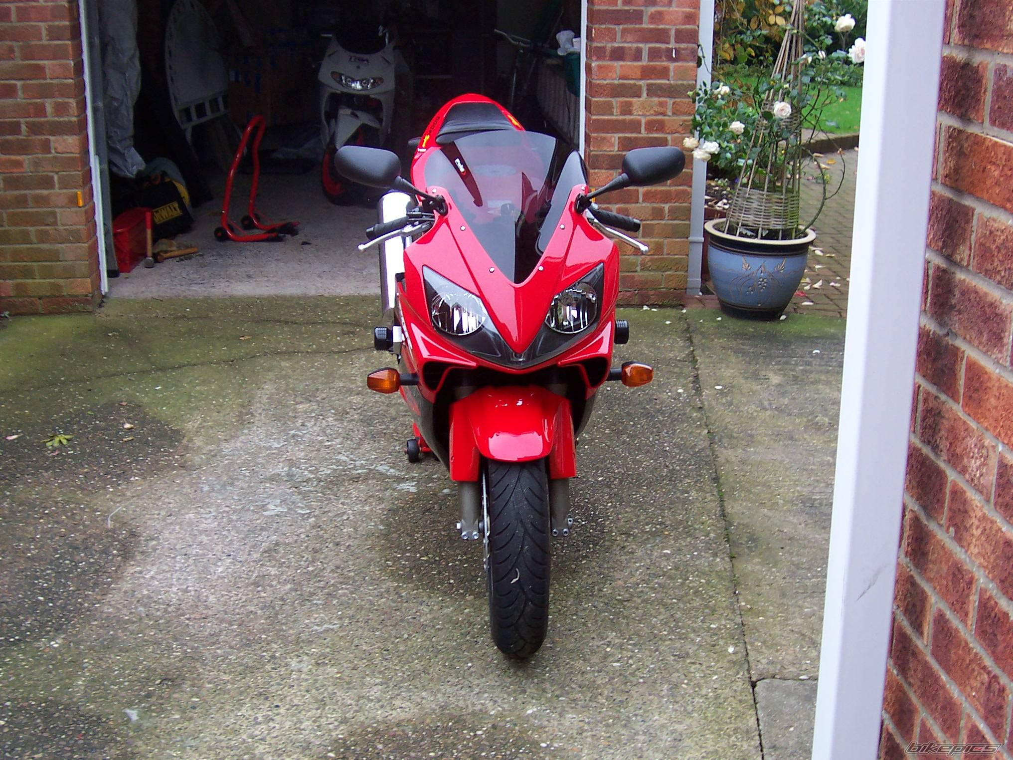 Photo 238479