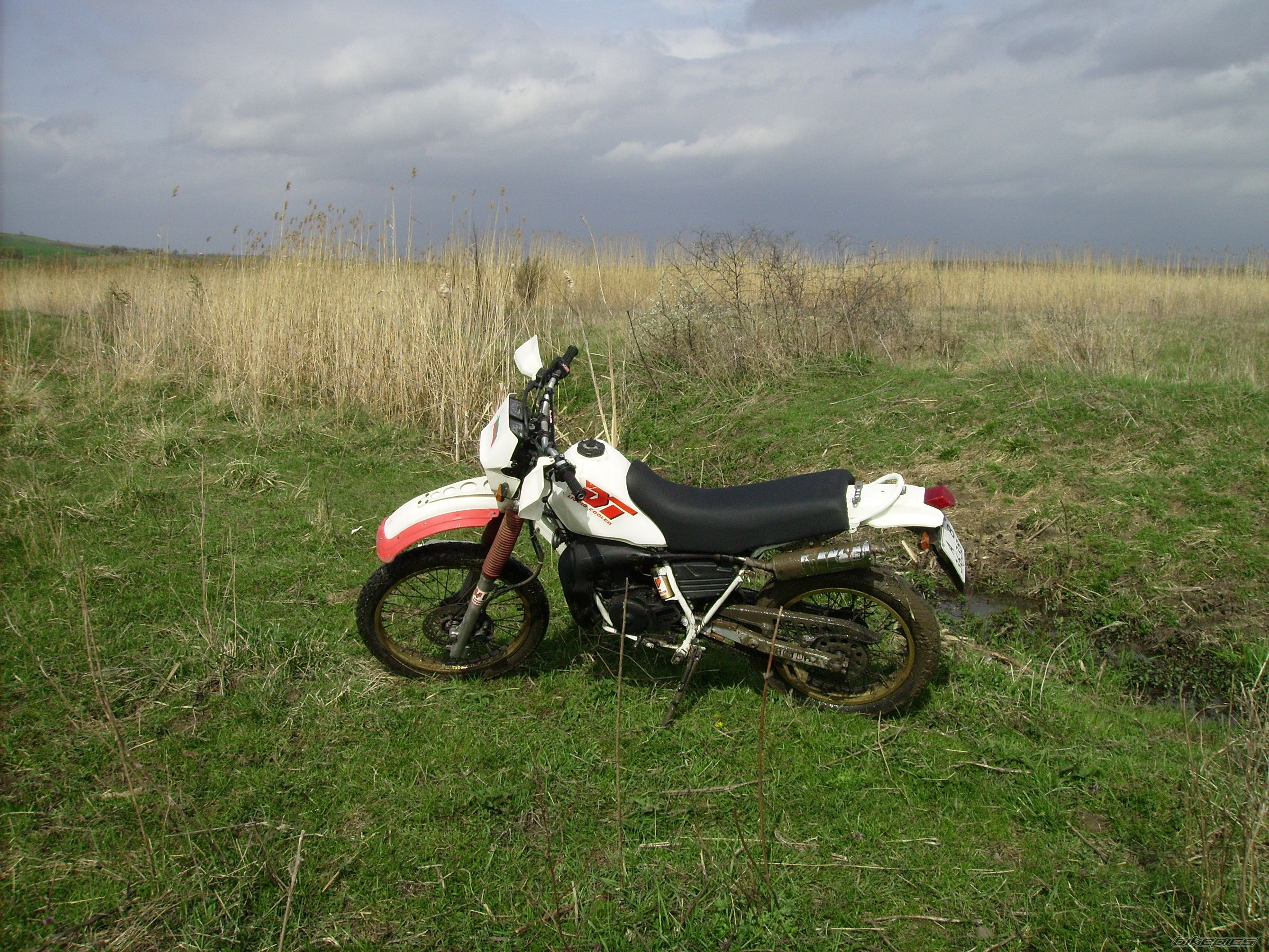 Photo 2384973