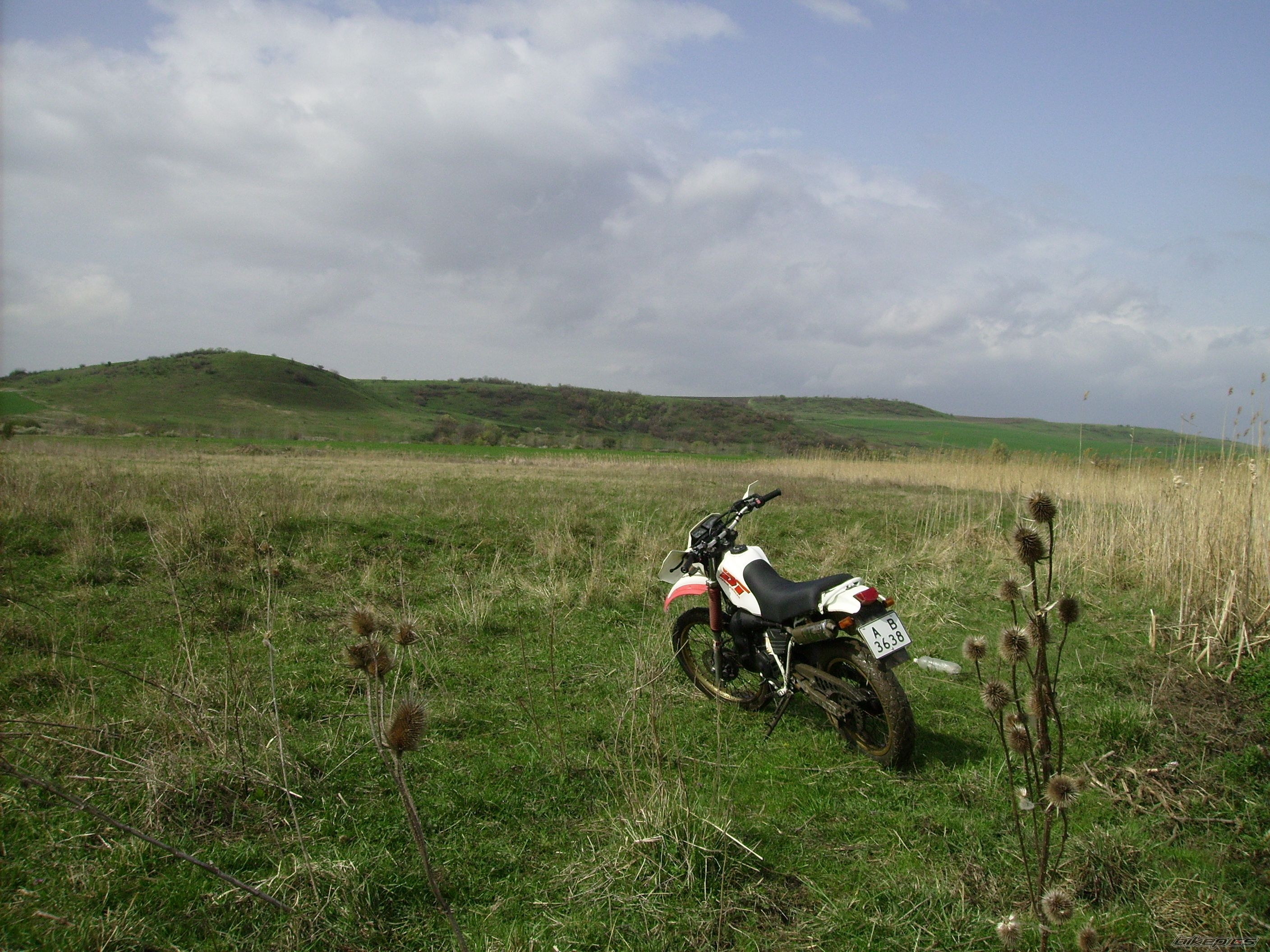 Photo 2384974