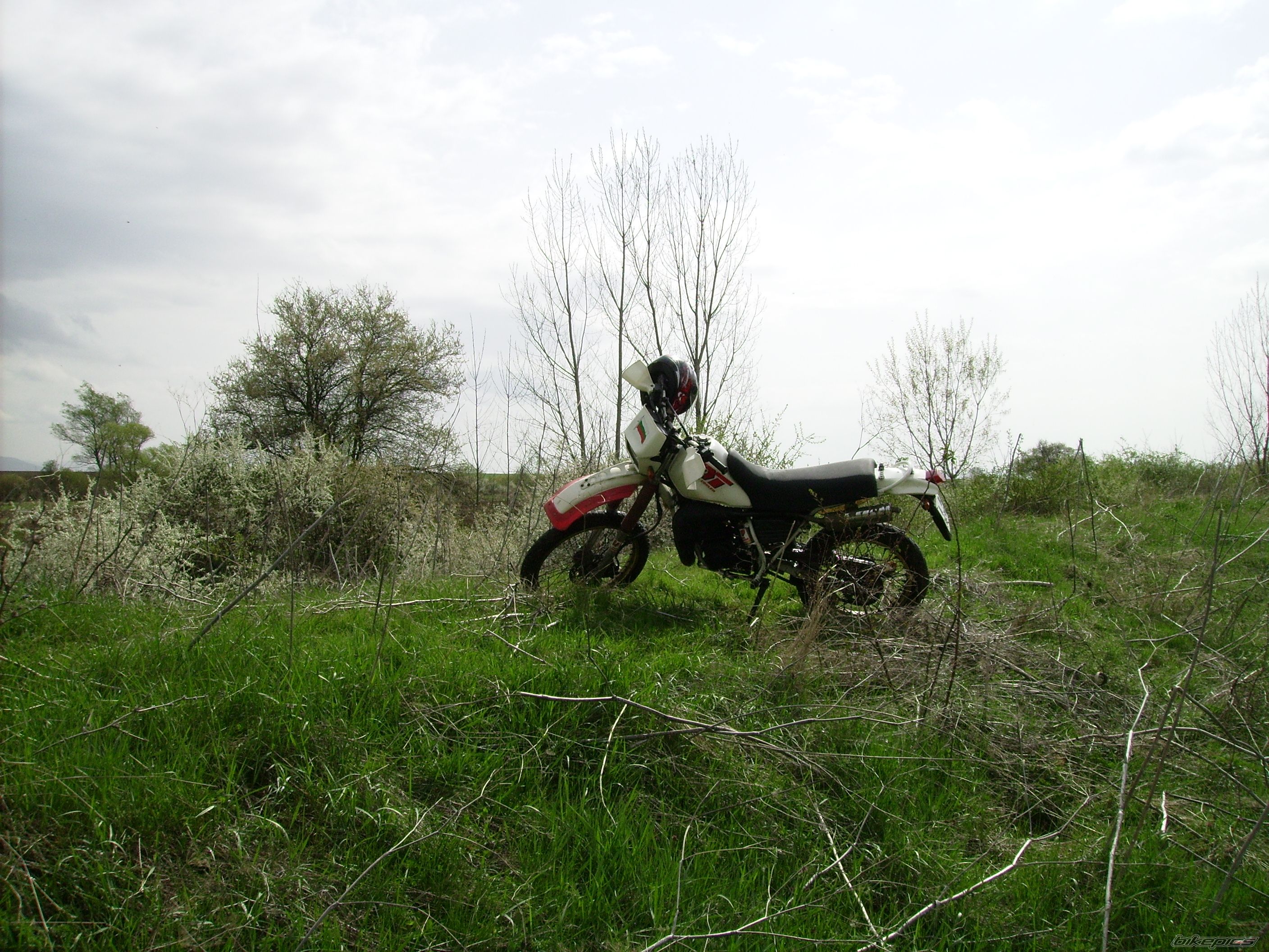 Photo 2384975