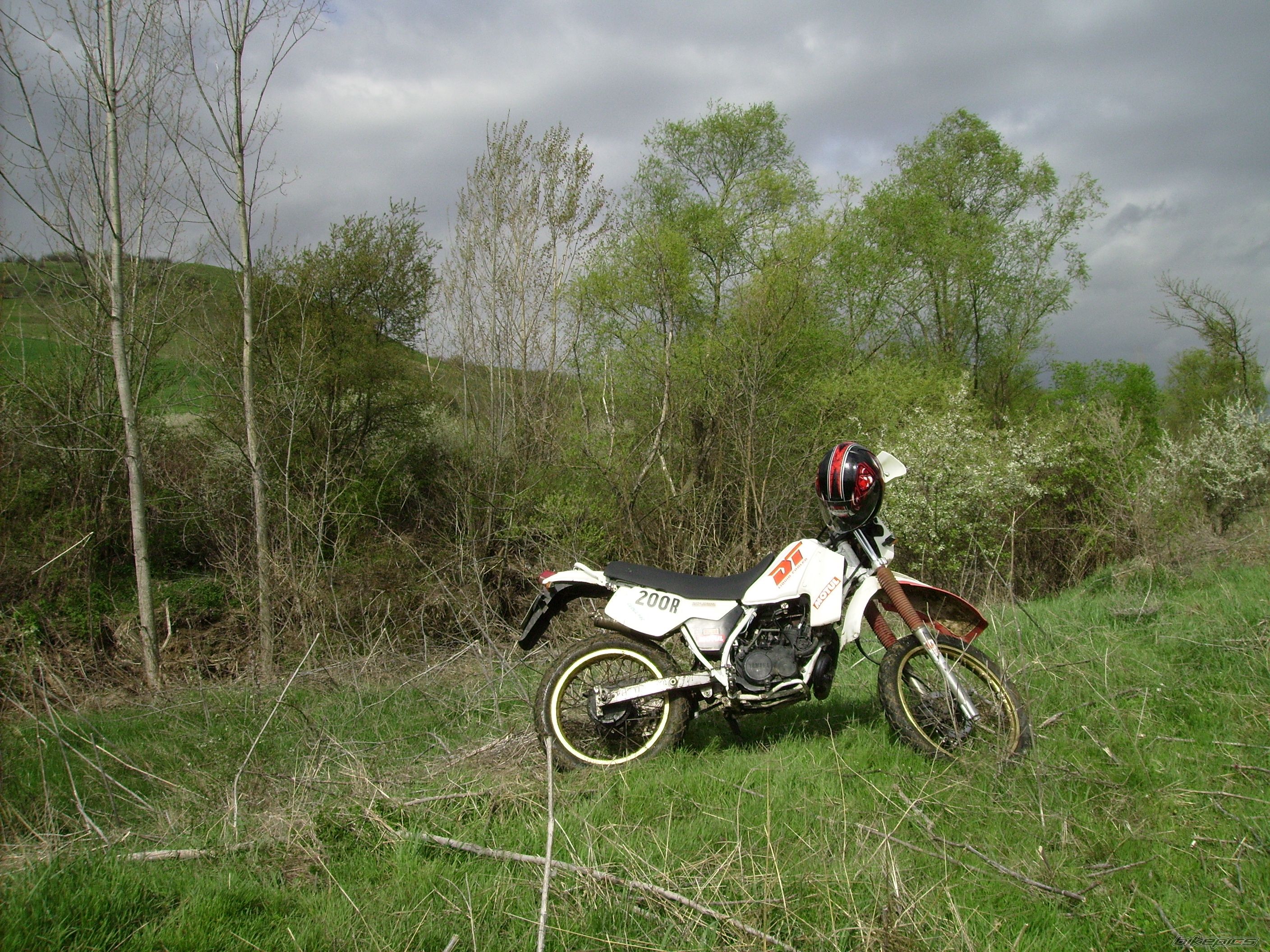 Photo 2384977