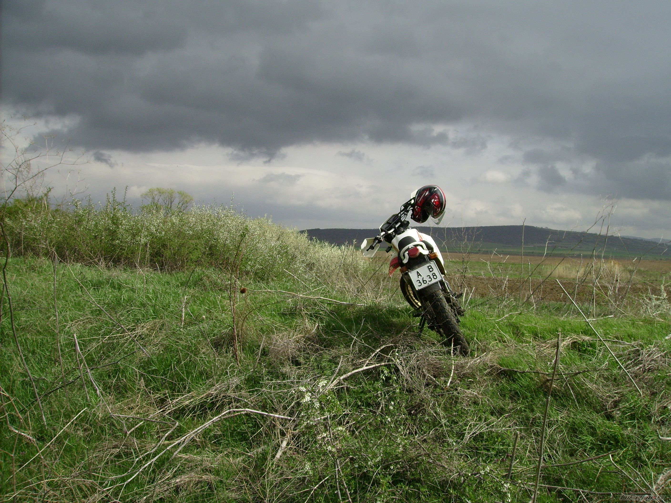 Photo 2384979