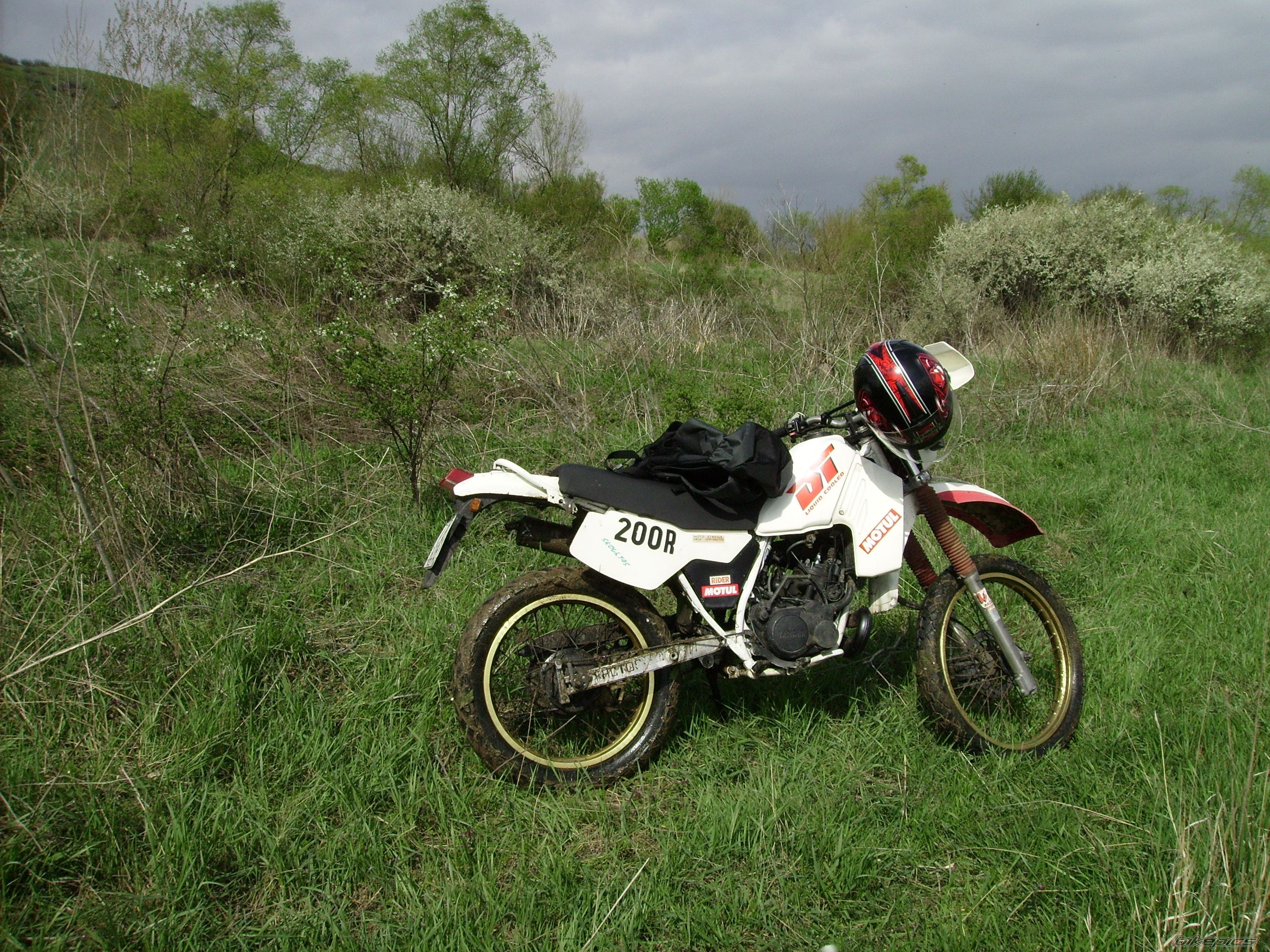 Photo 2384980