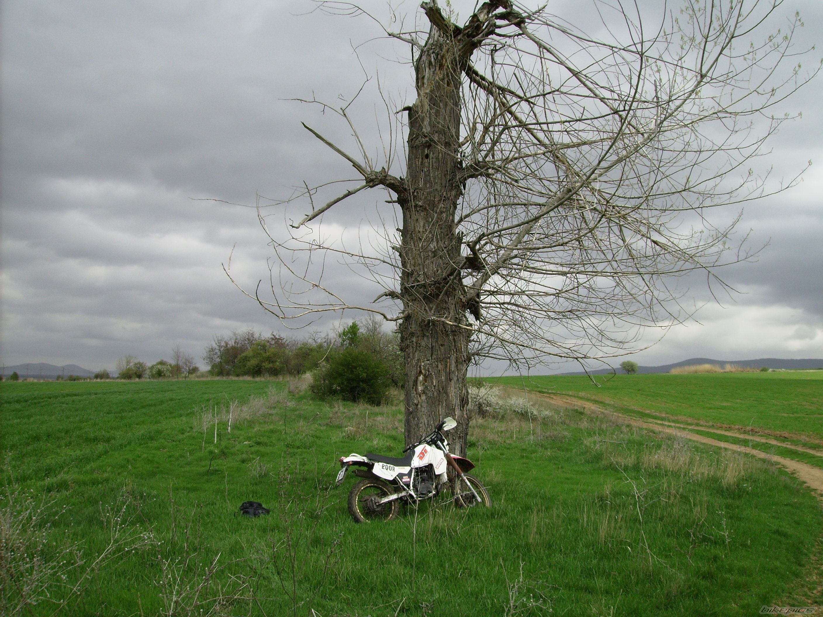 Photo 2384982