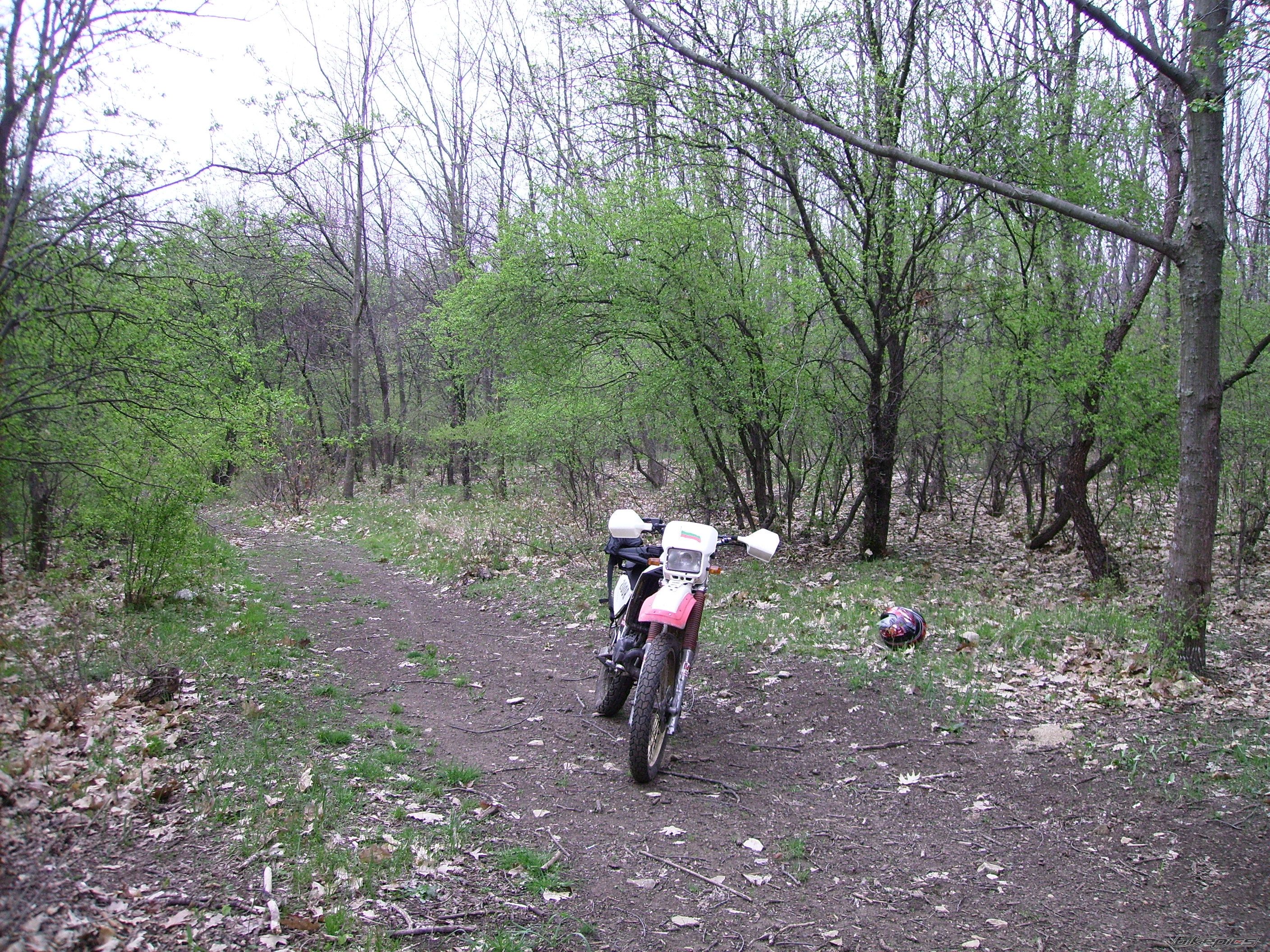Photo 2384985