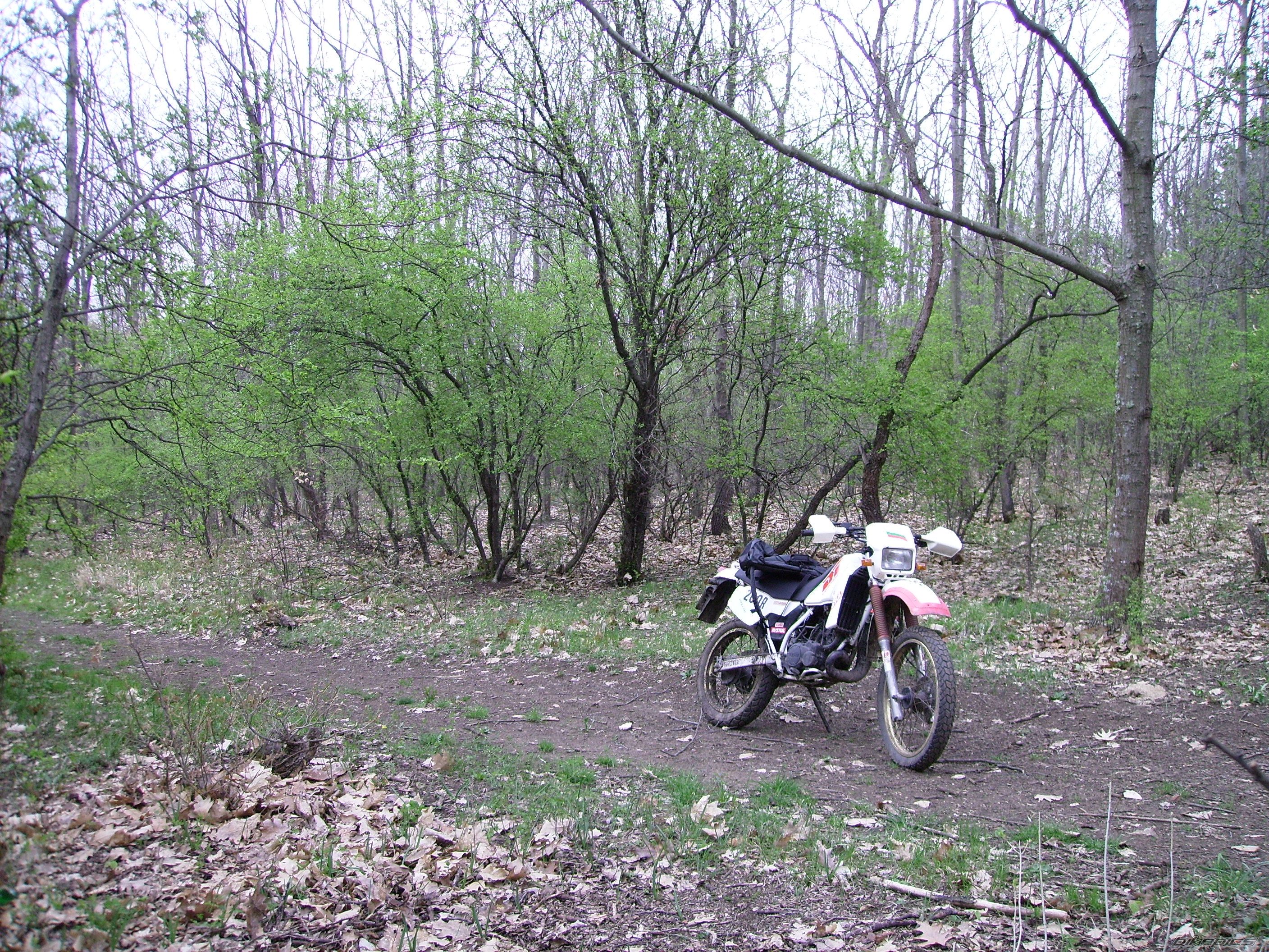Photo 2384986