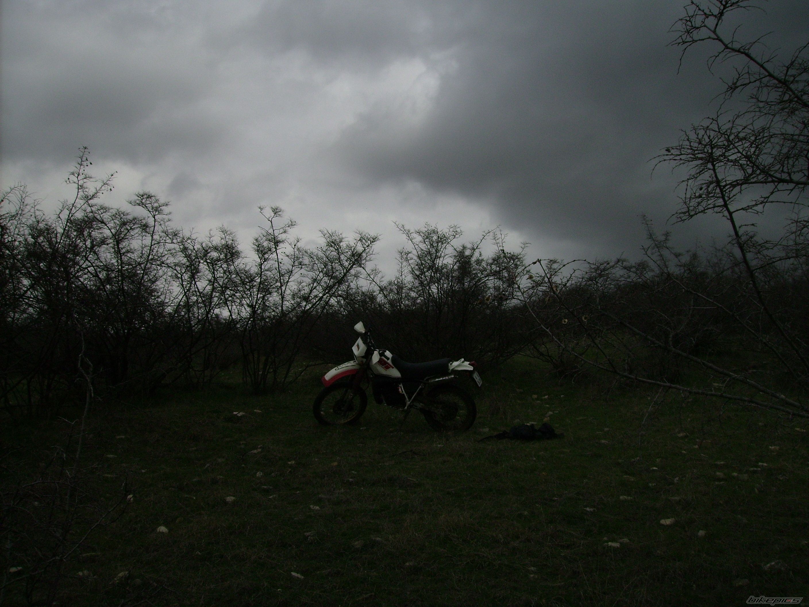 Photo 2384988