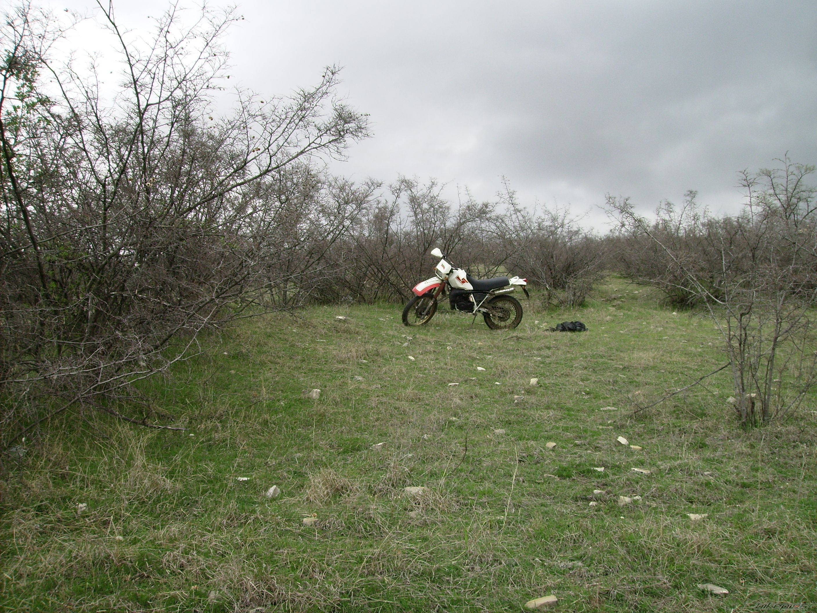 Photo 2384989
