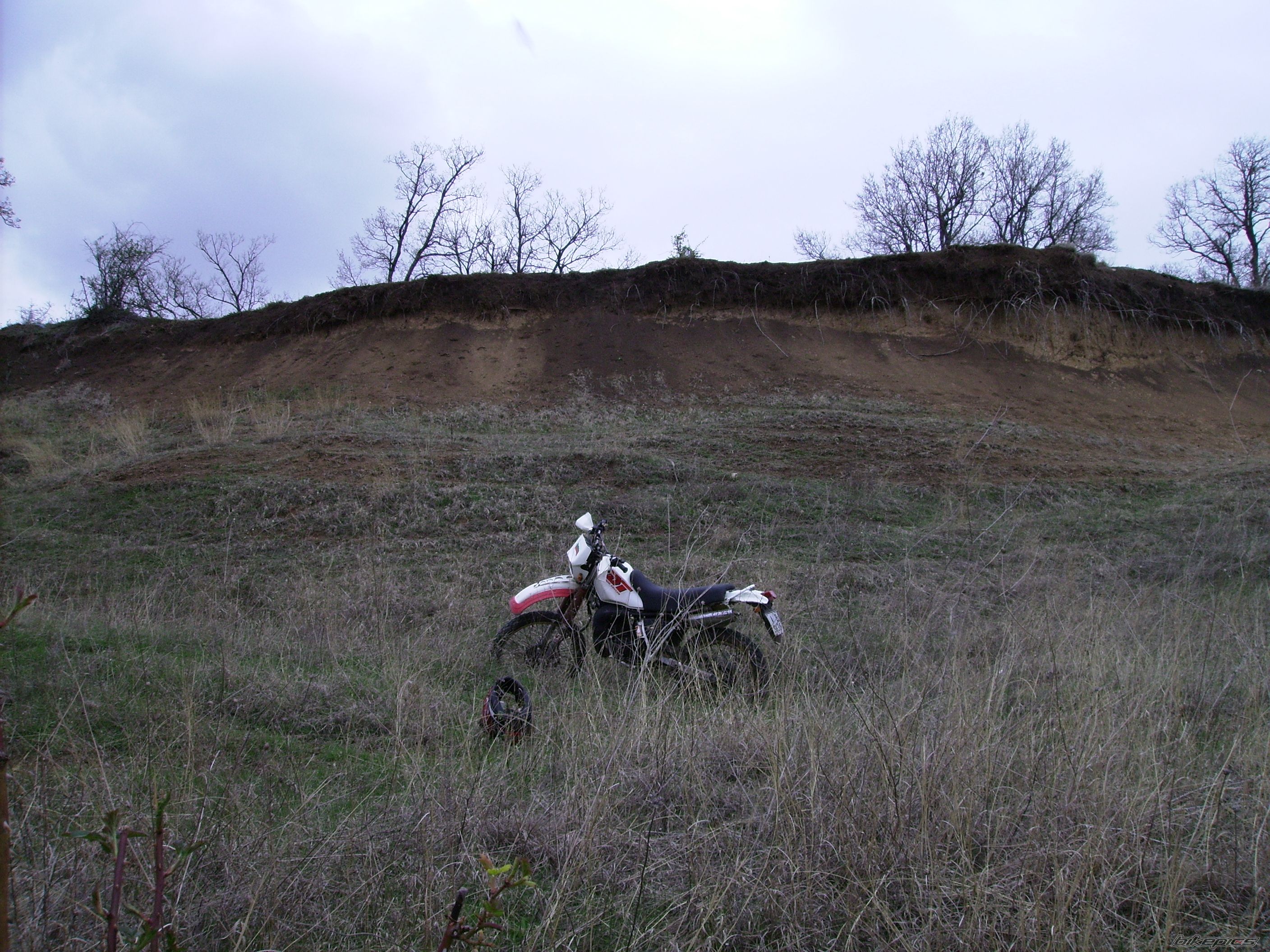Photo 2384998