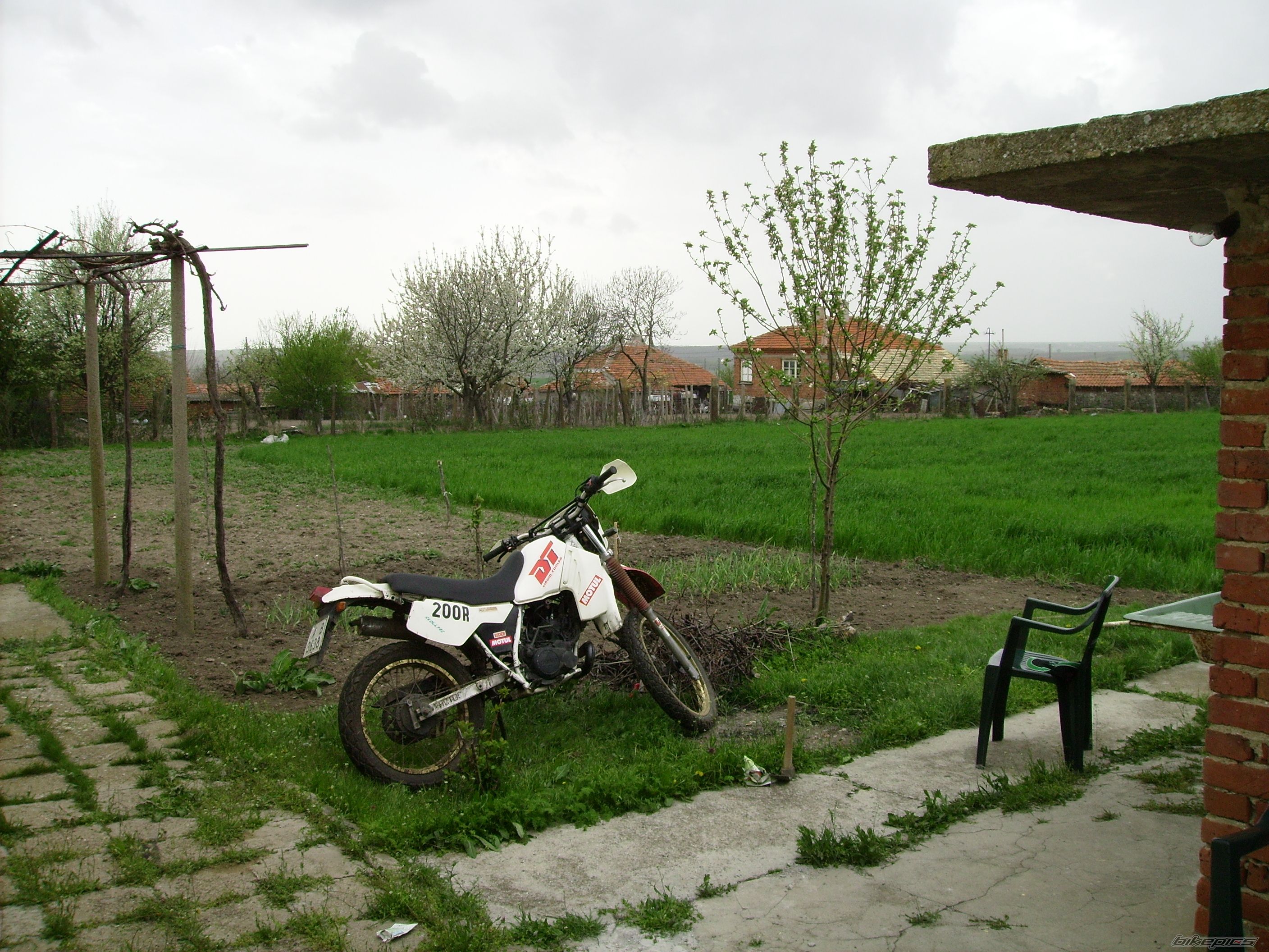 Photo 2385007