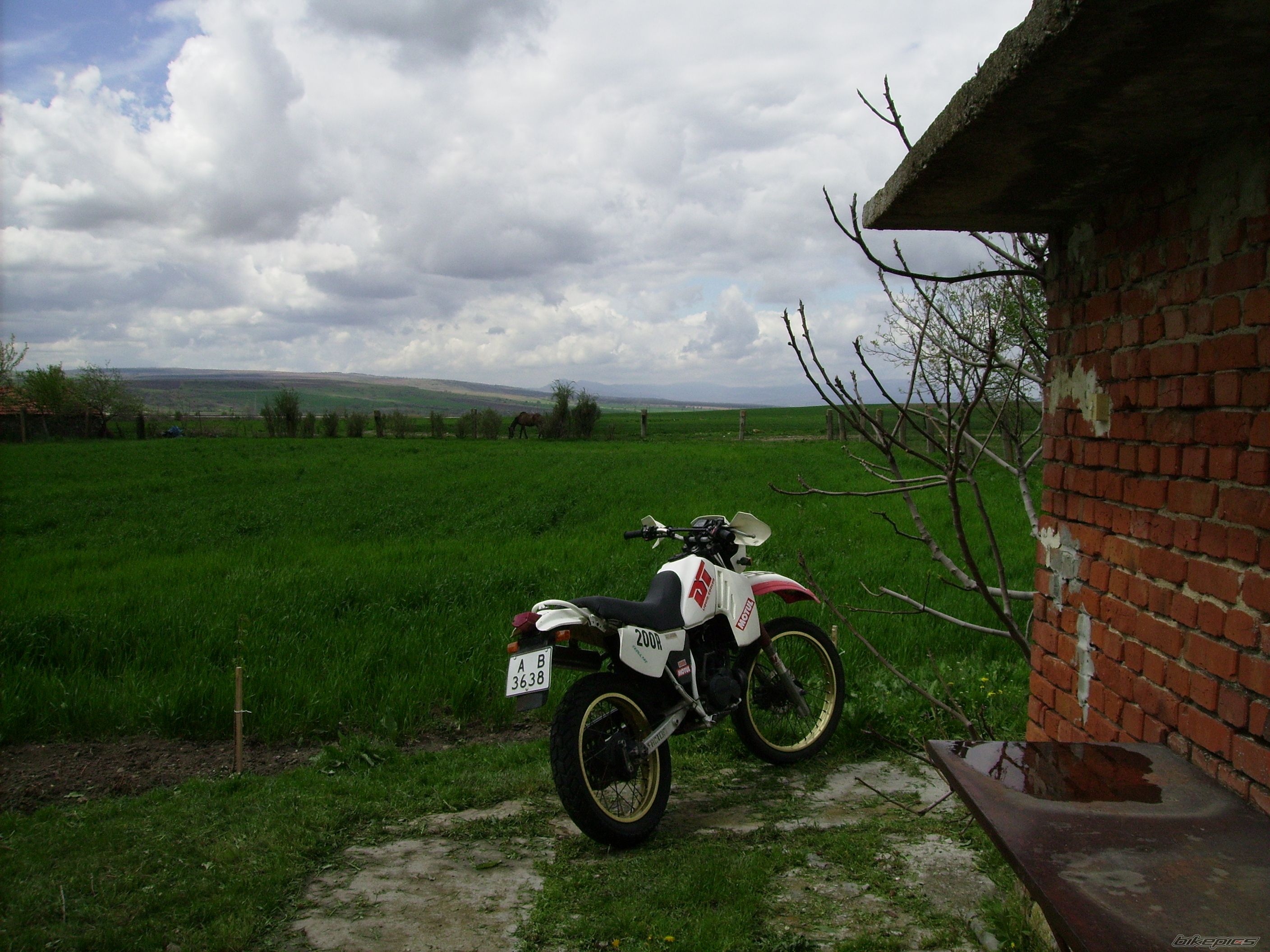 Photo 2385008