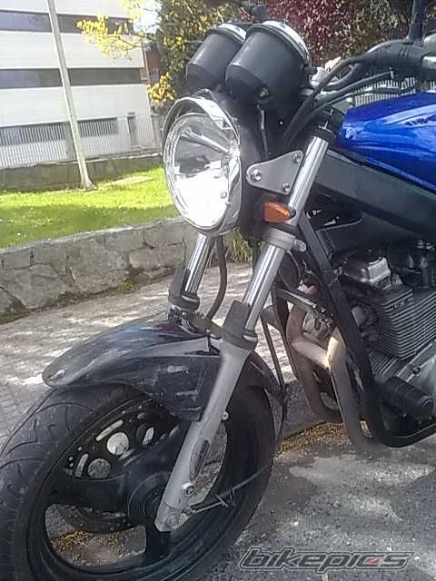 Photo 2385023