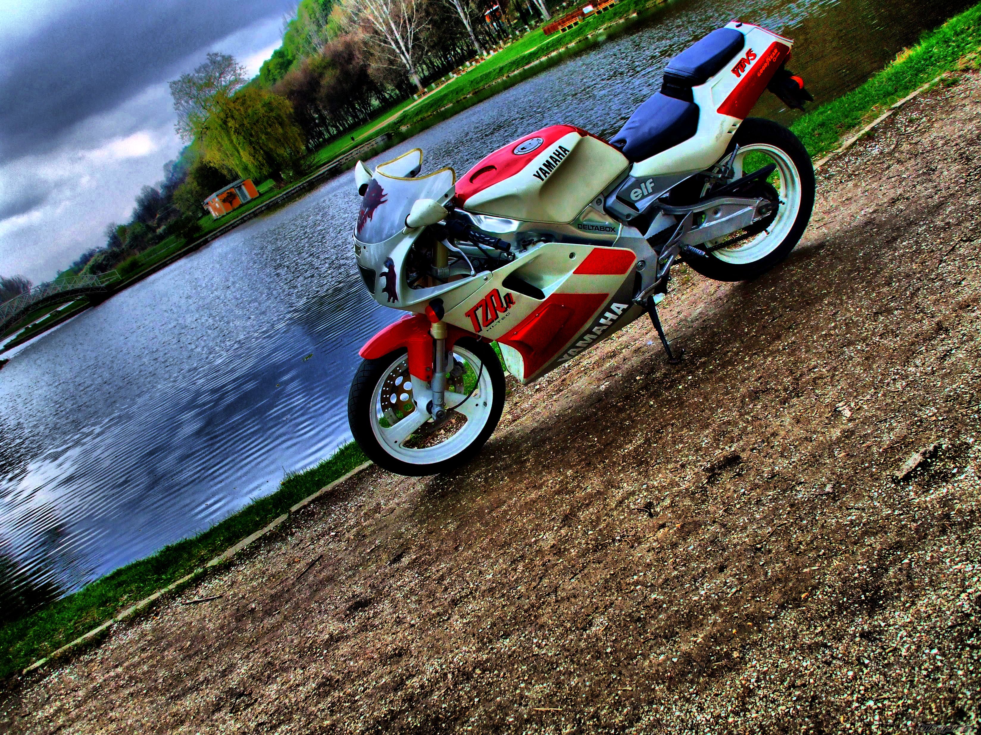Photo 2385030