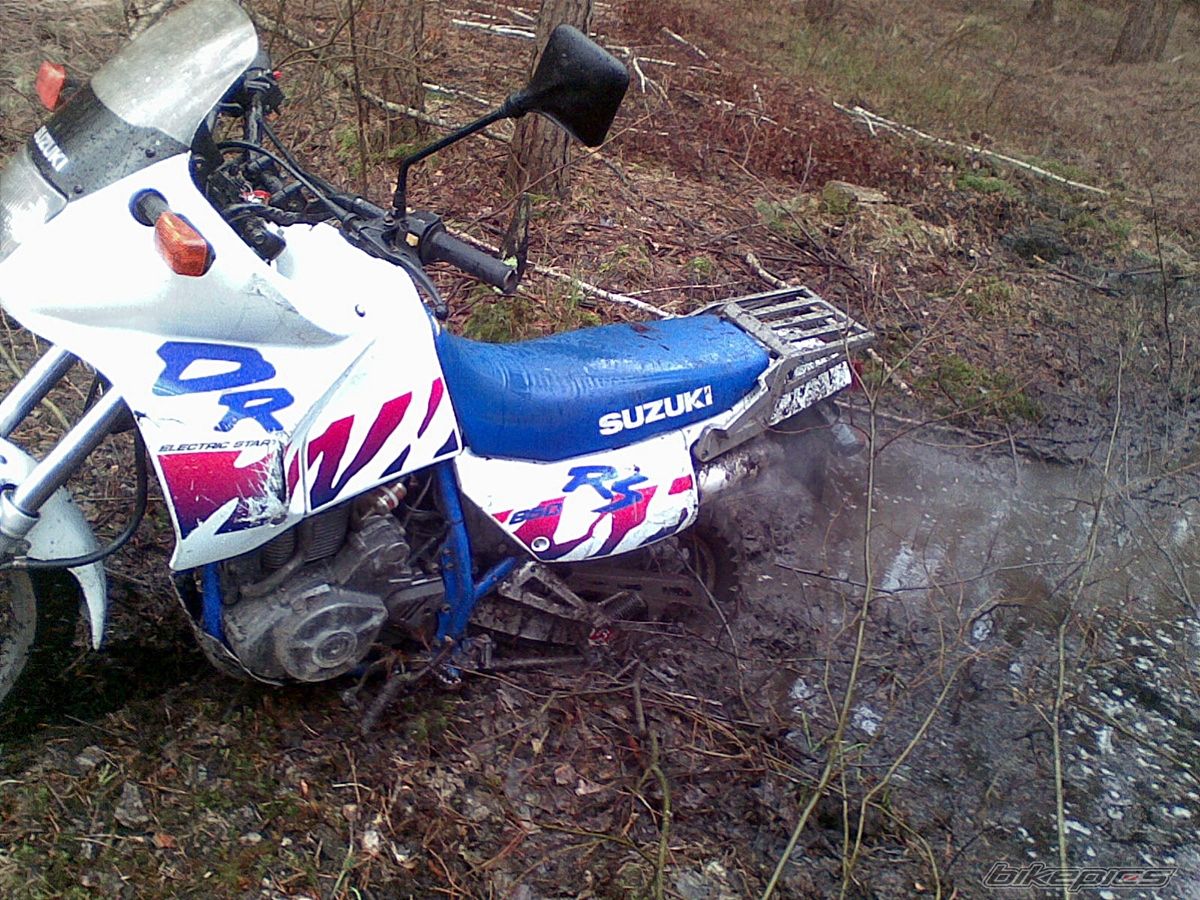 Photo 2385040