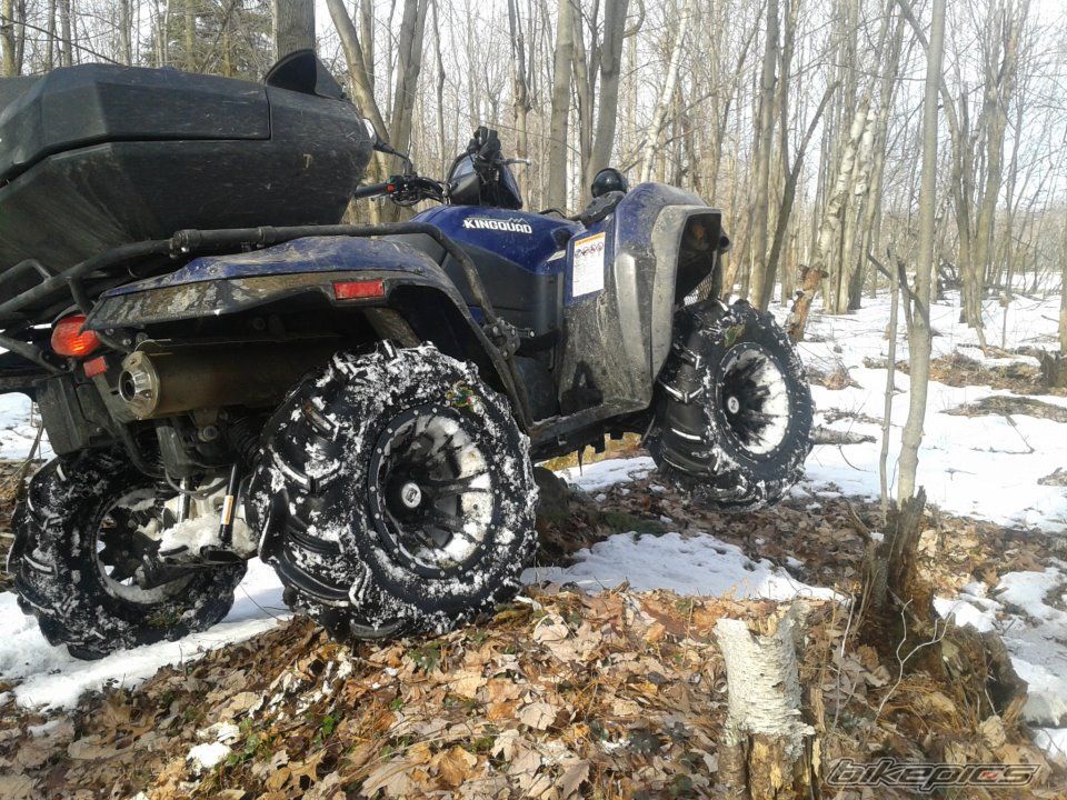 Photo 2385125