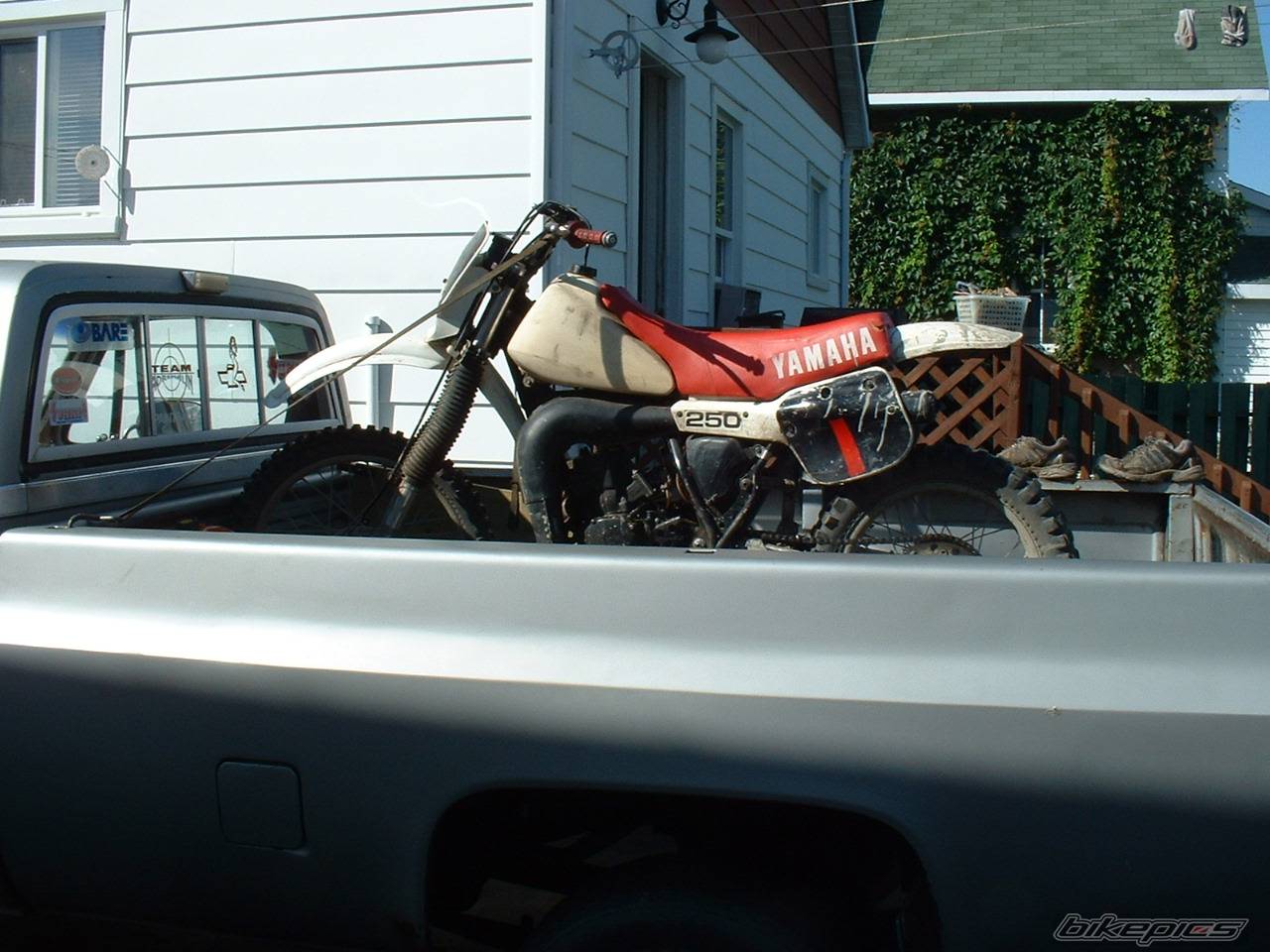 Photo 238517