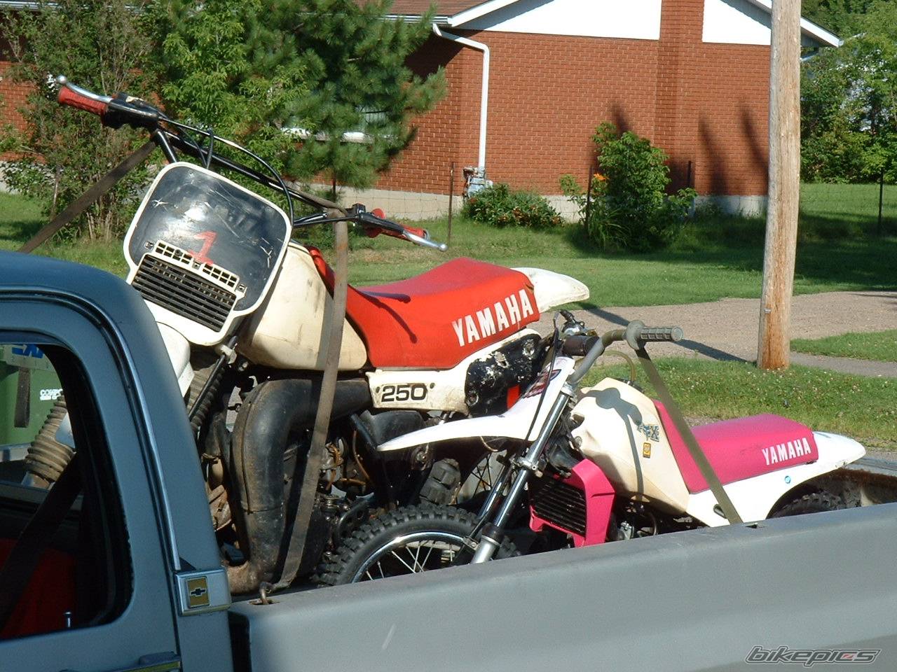 Photo 238518