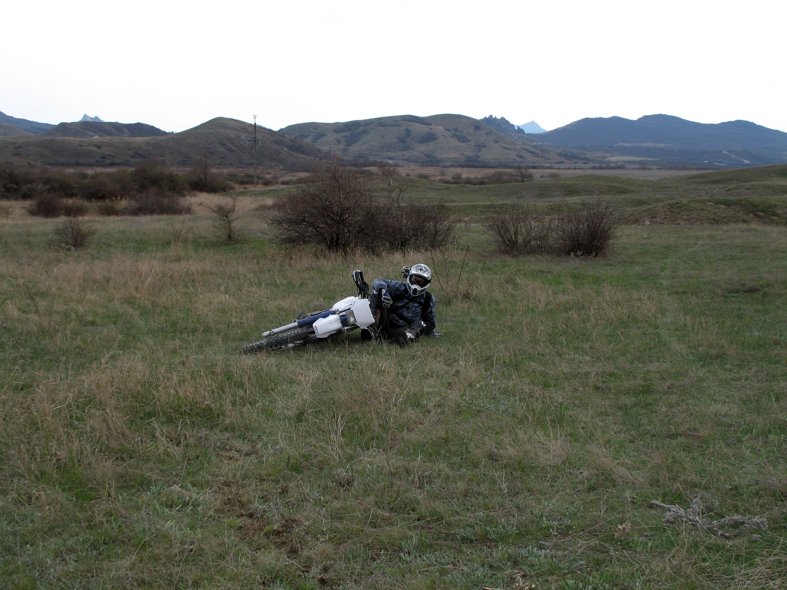 Photo 2385243