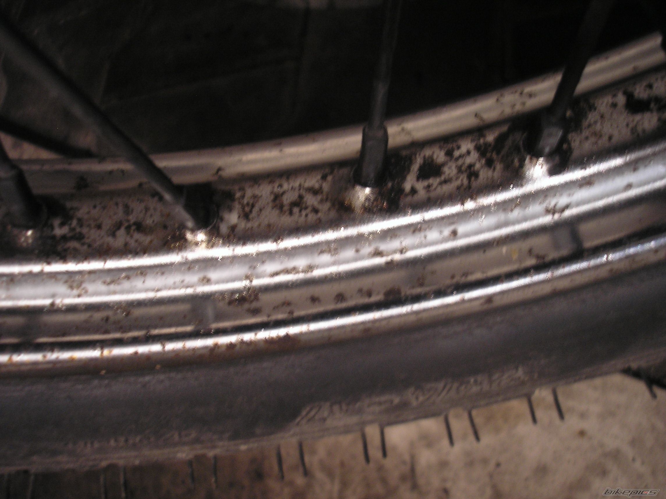 Photo 2385298