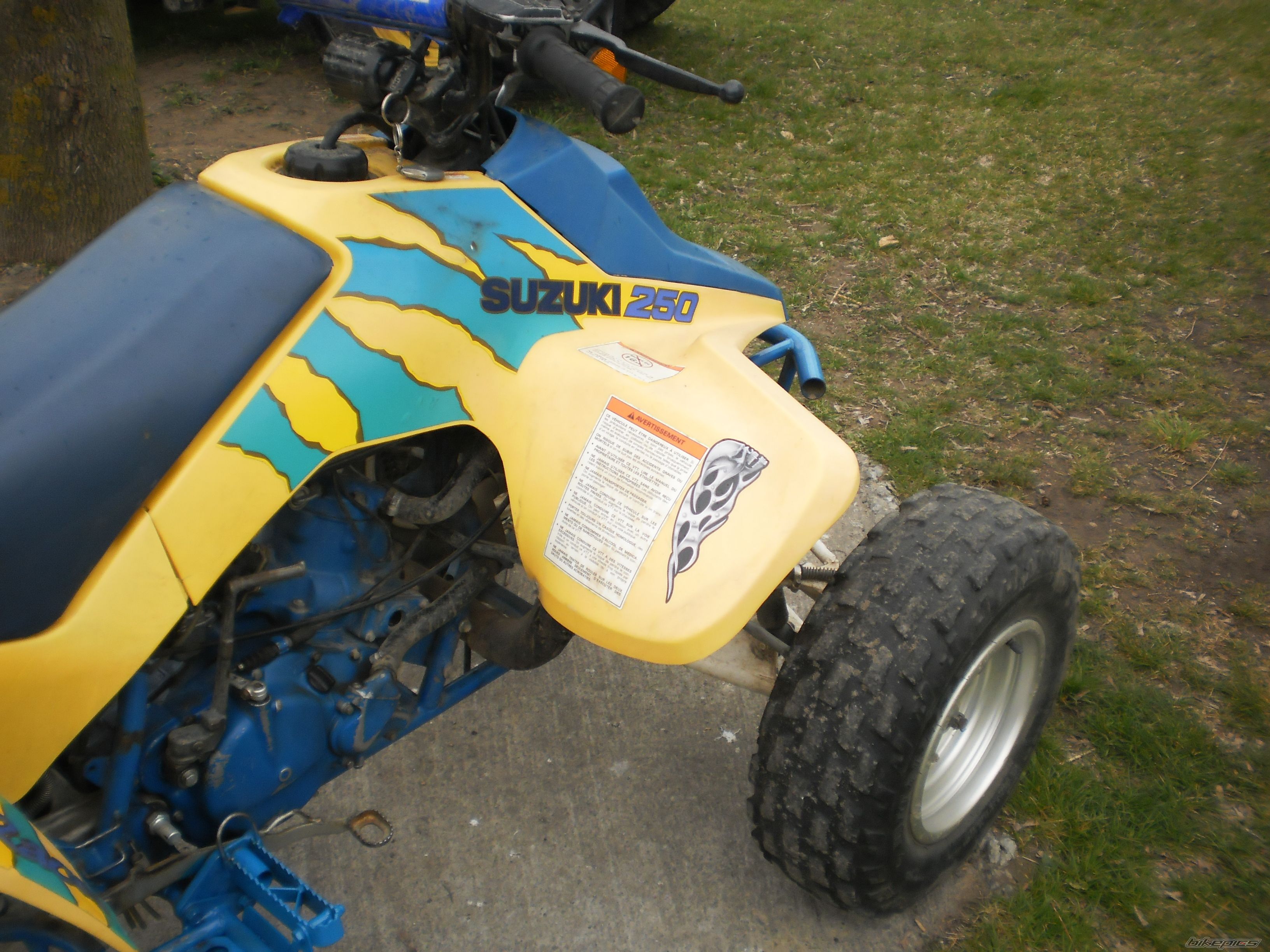 Photo 2385382