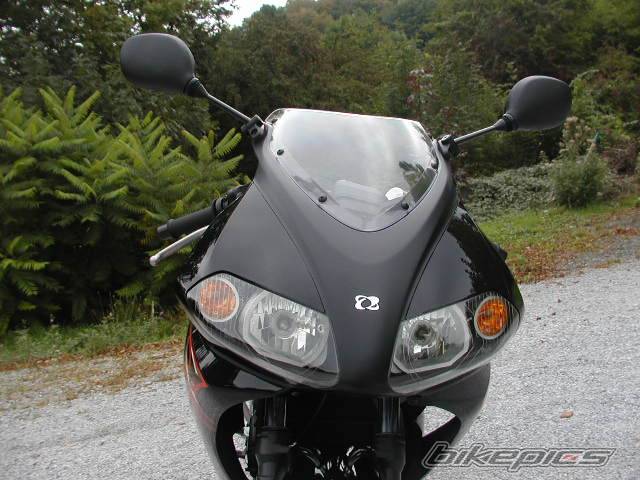 Photo 238543