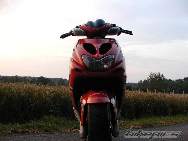 Photo 238549