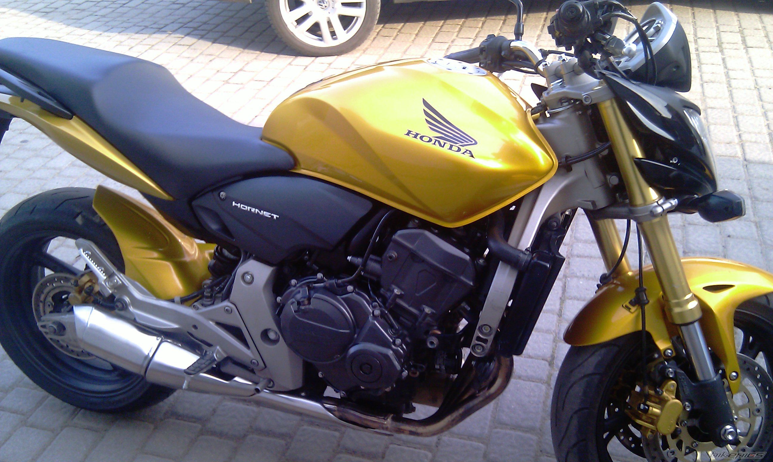 Photo 2385528