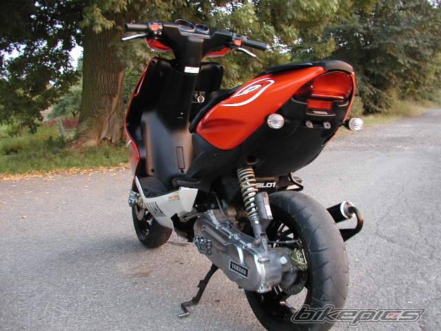 Photo 238553