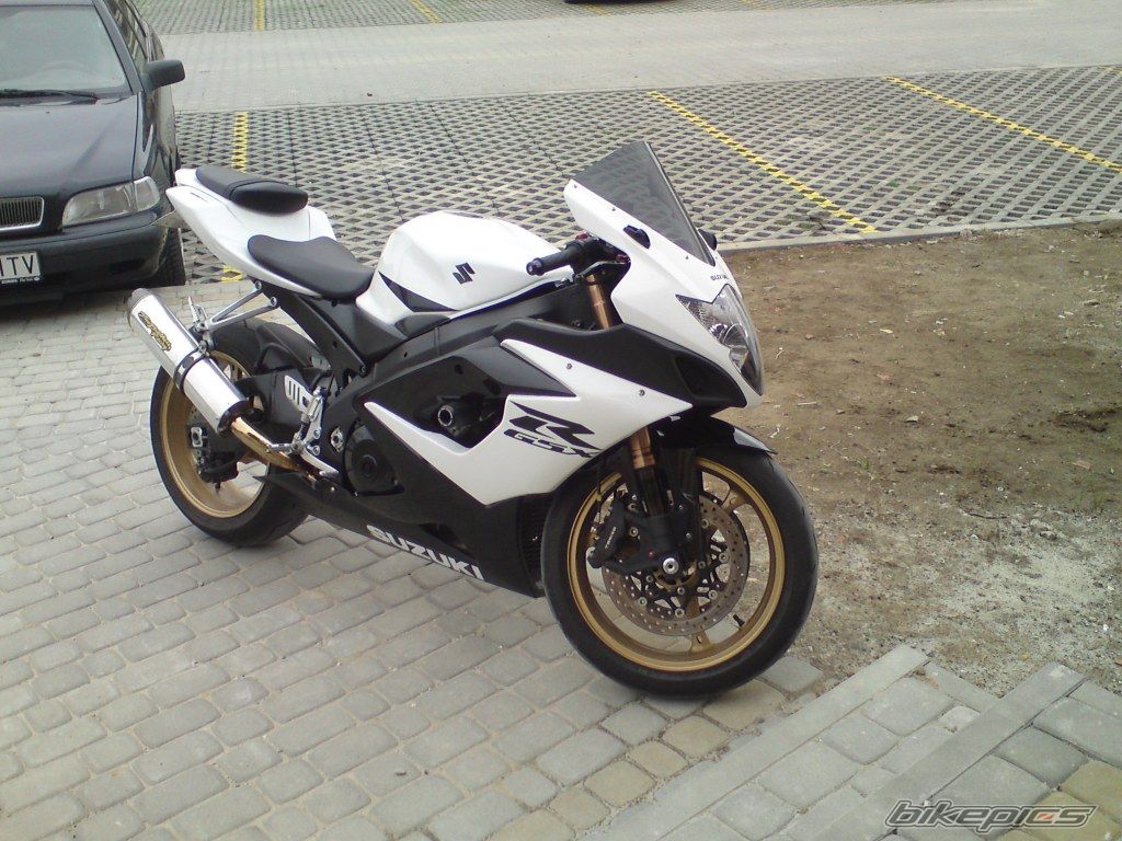 Photo 2385548