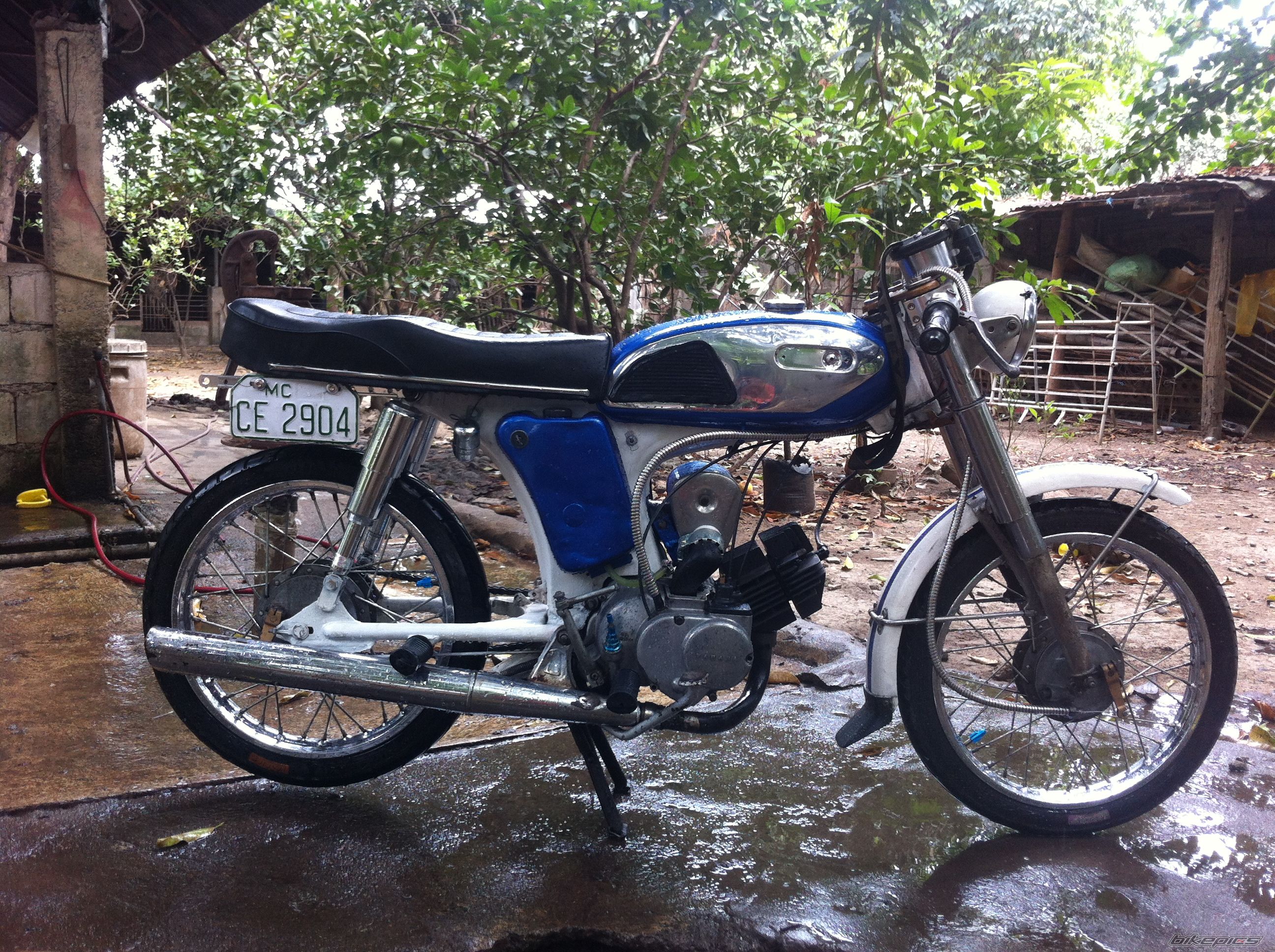 Photo 2385584