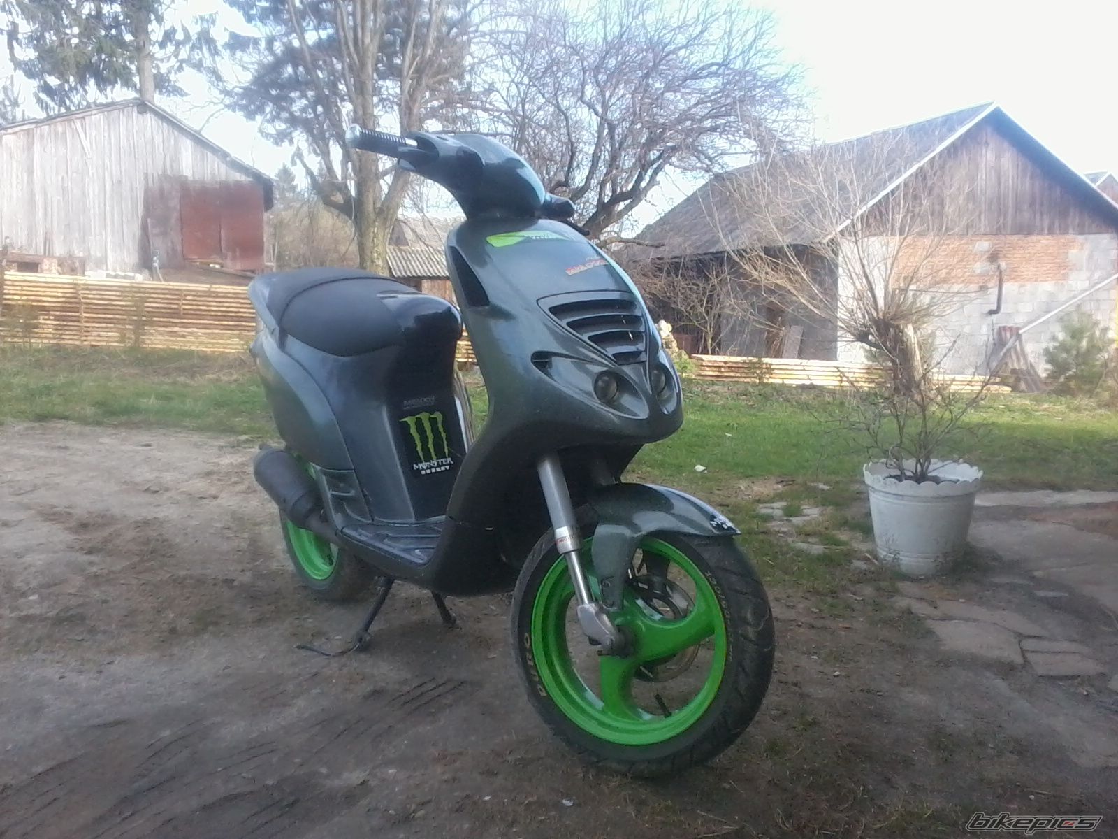 Photo 2385615