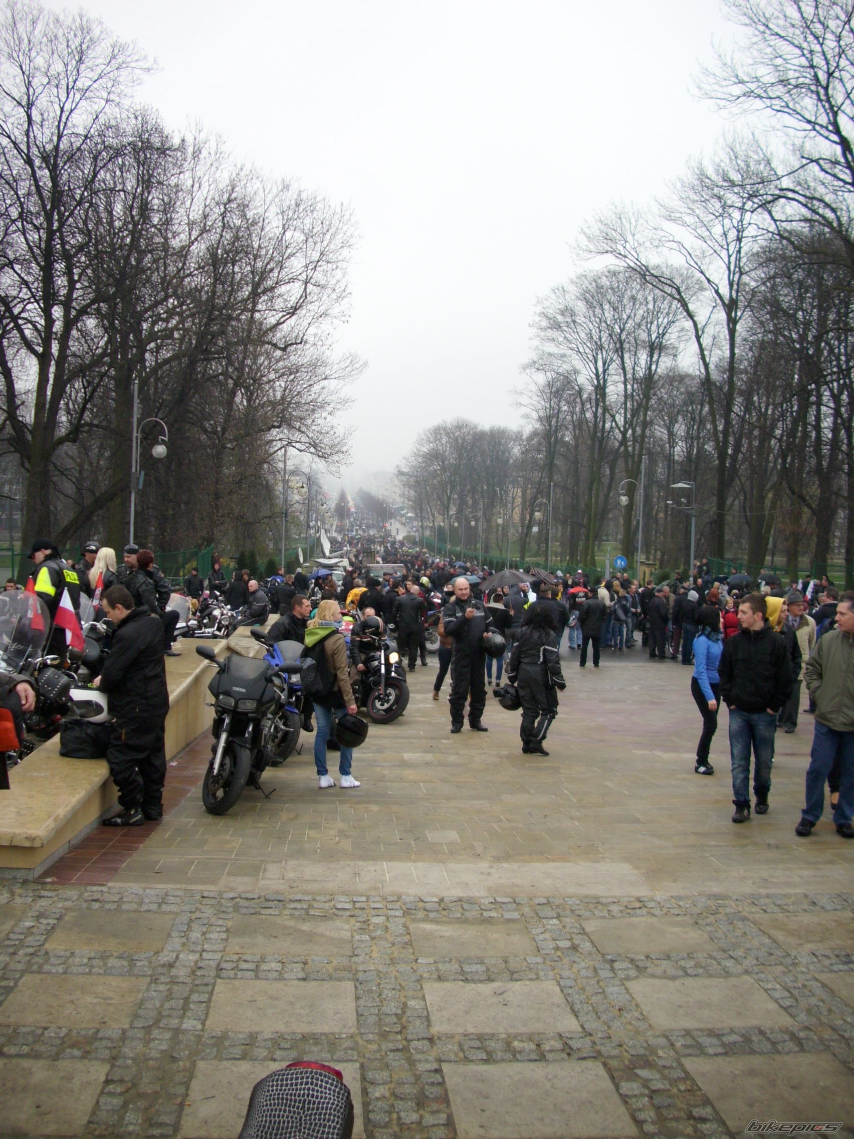 Photo 2385632