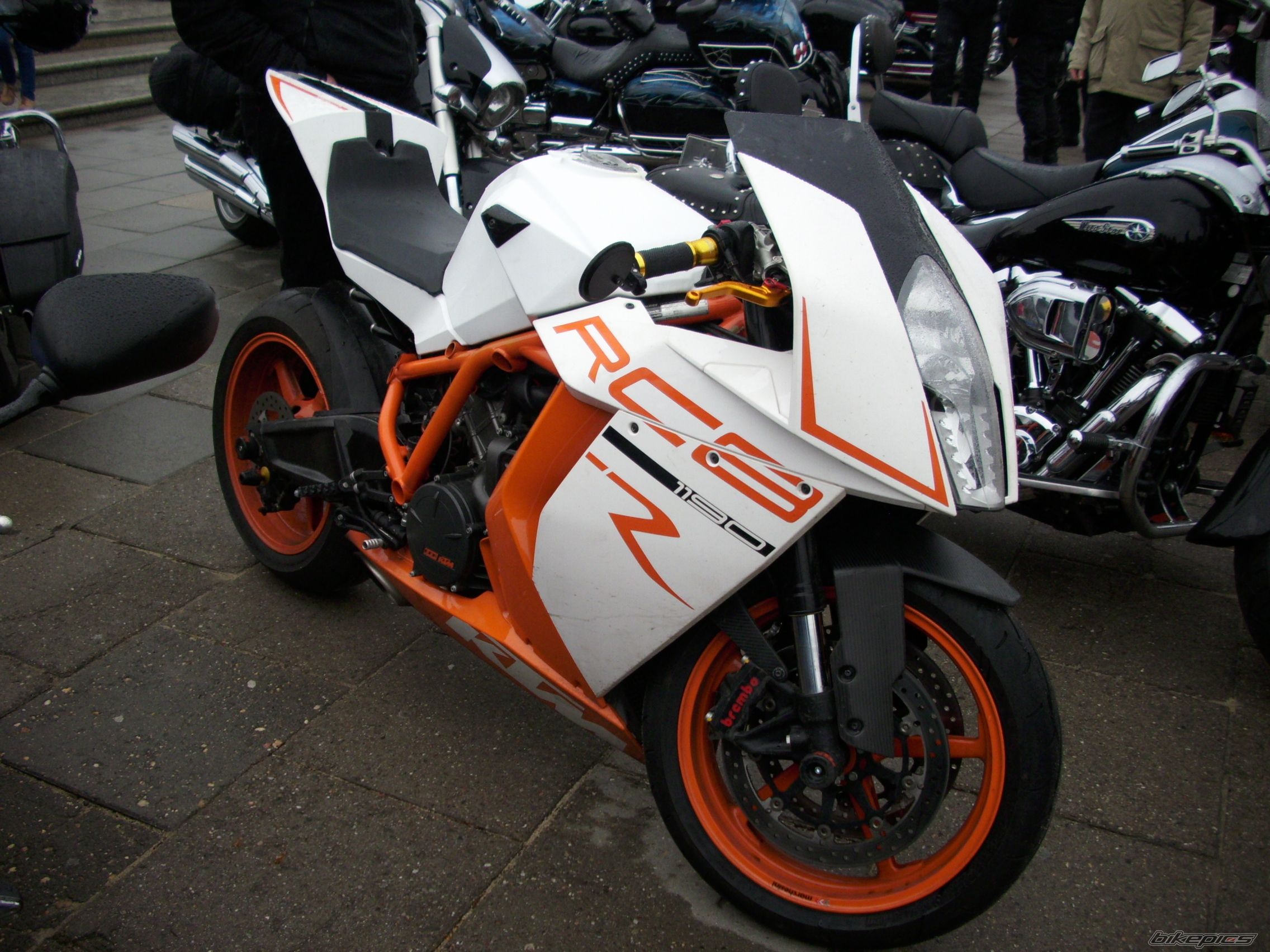 Photo 2385682