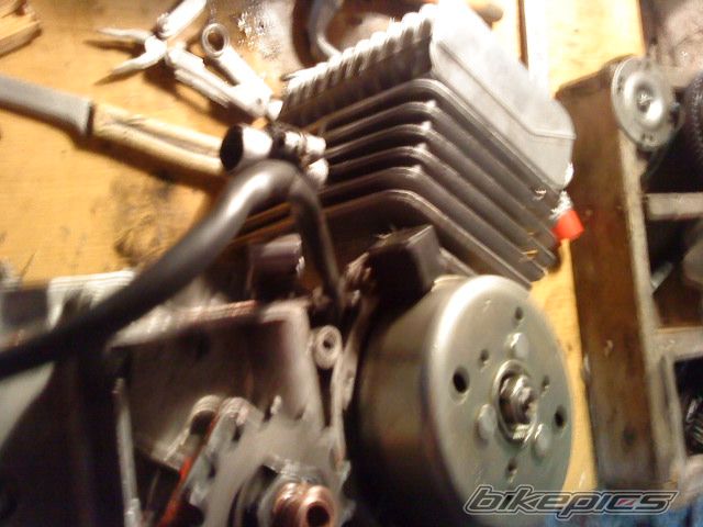 Bike Photo 2385806