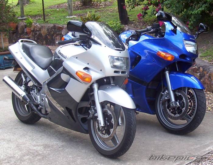 Photo 238583