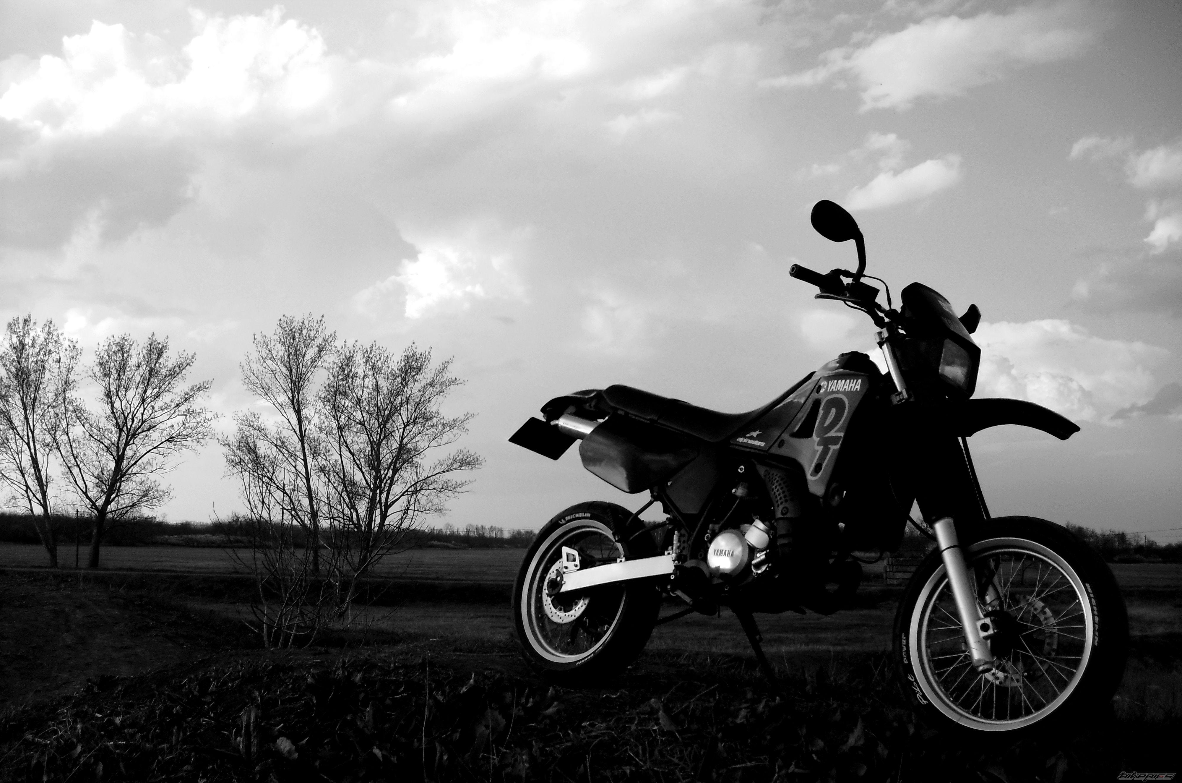 Photo 2385898