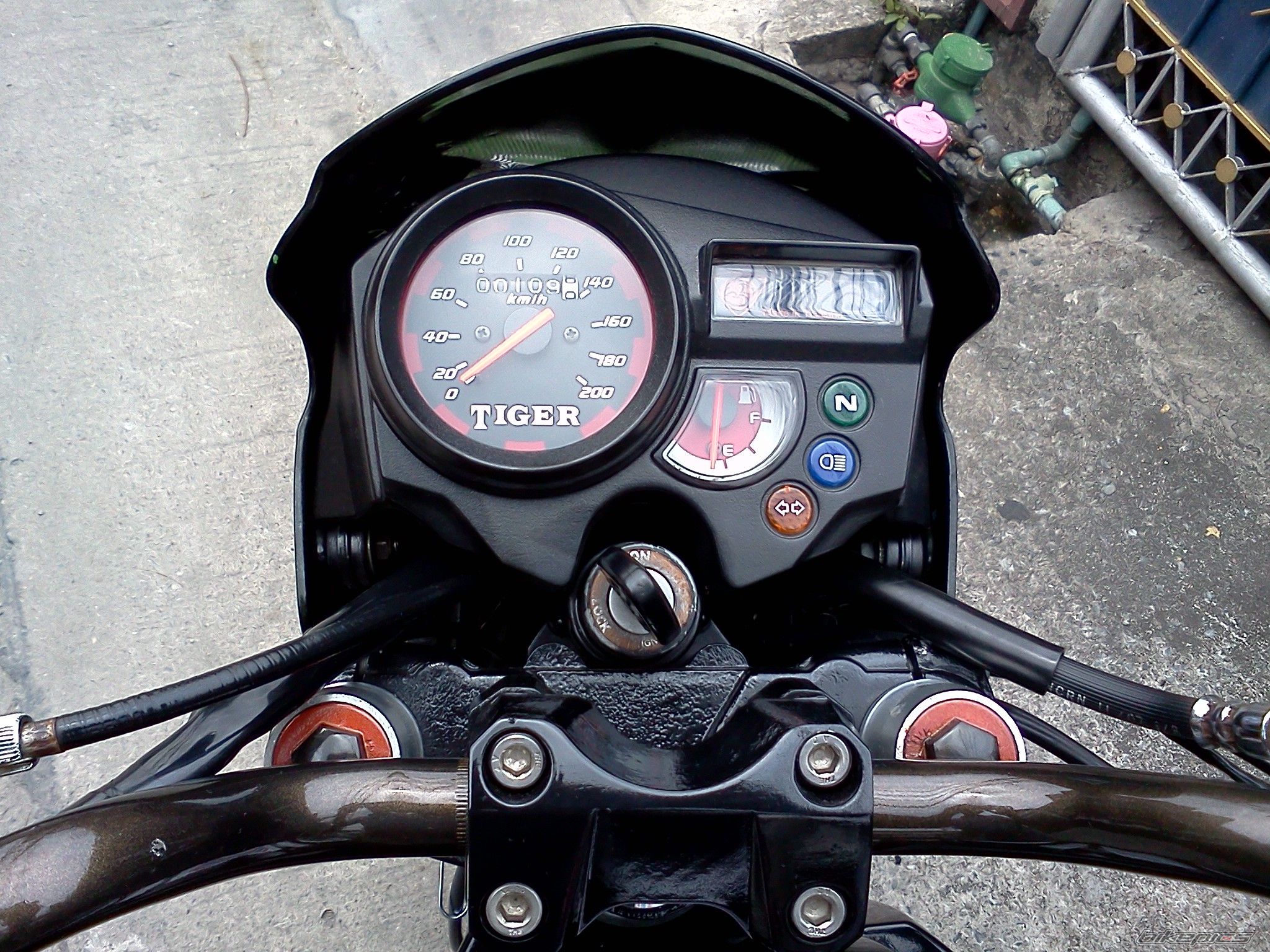 Photo 2385929
