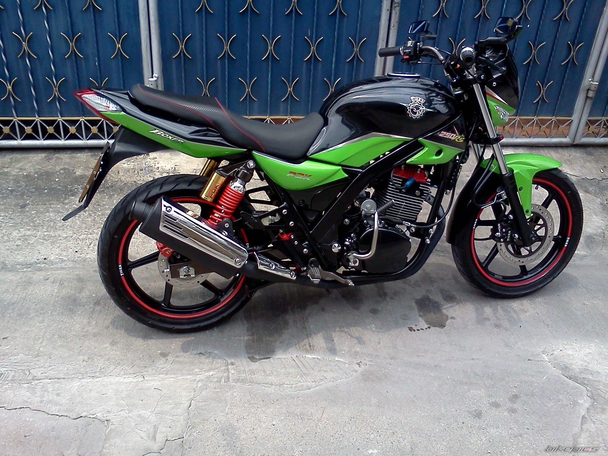 Photo 2385949