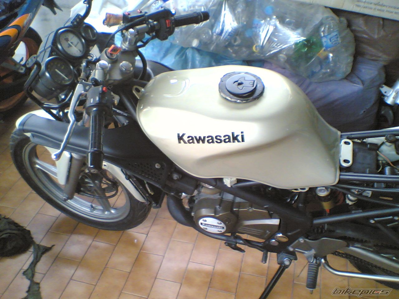 Photo 2385955