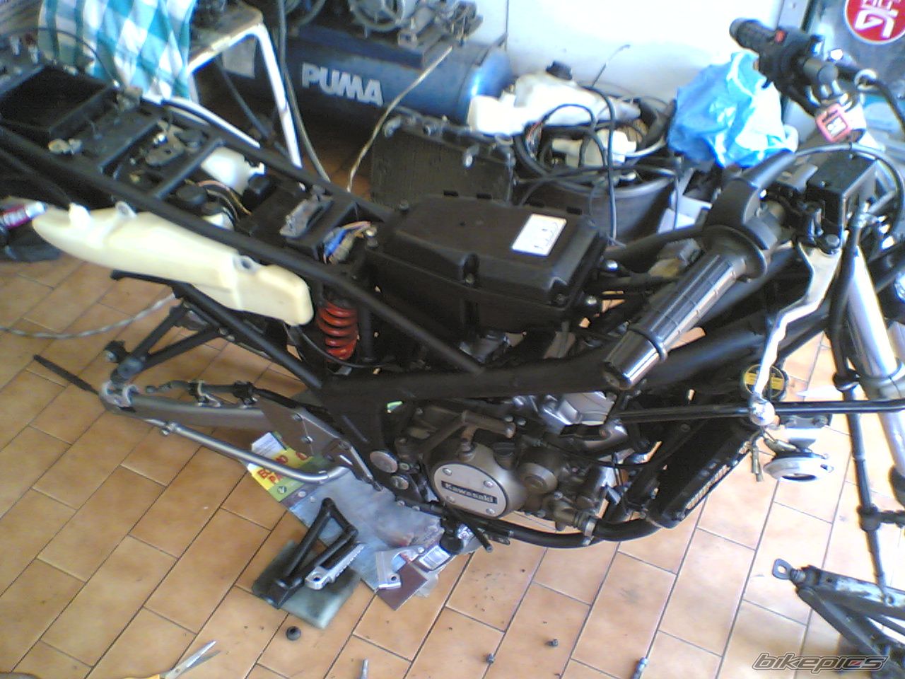 Photo 2385957