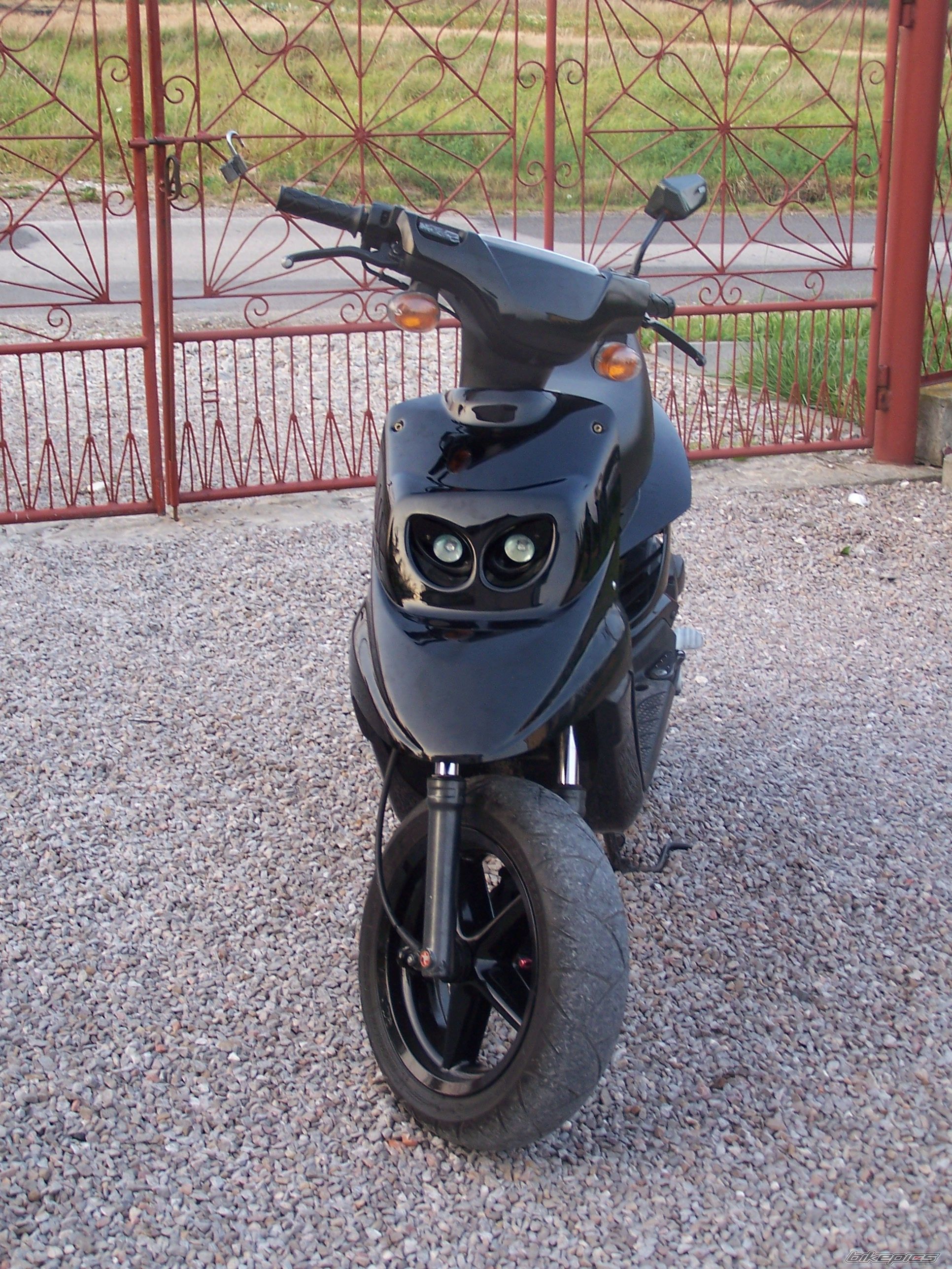 Photo 2386074