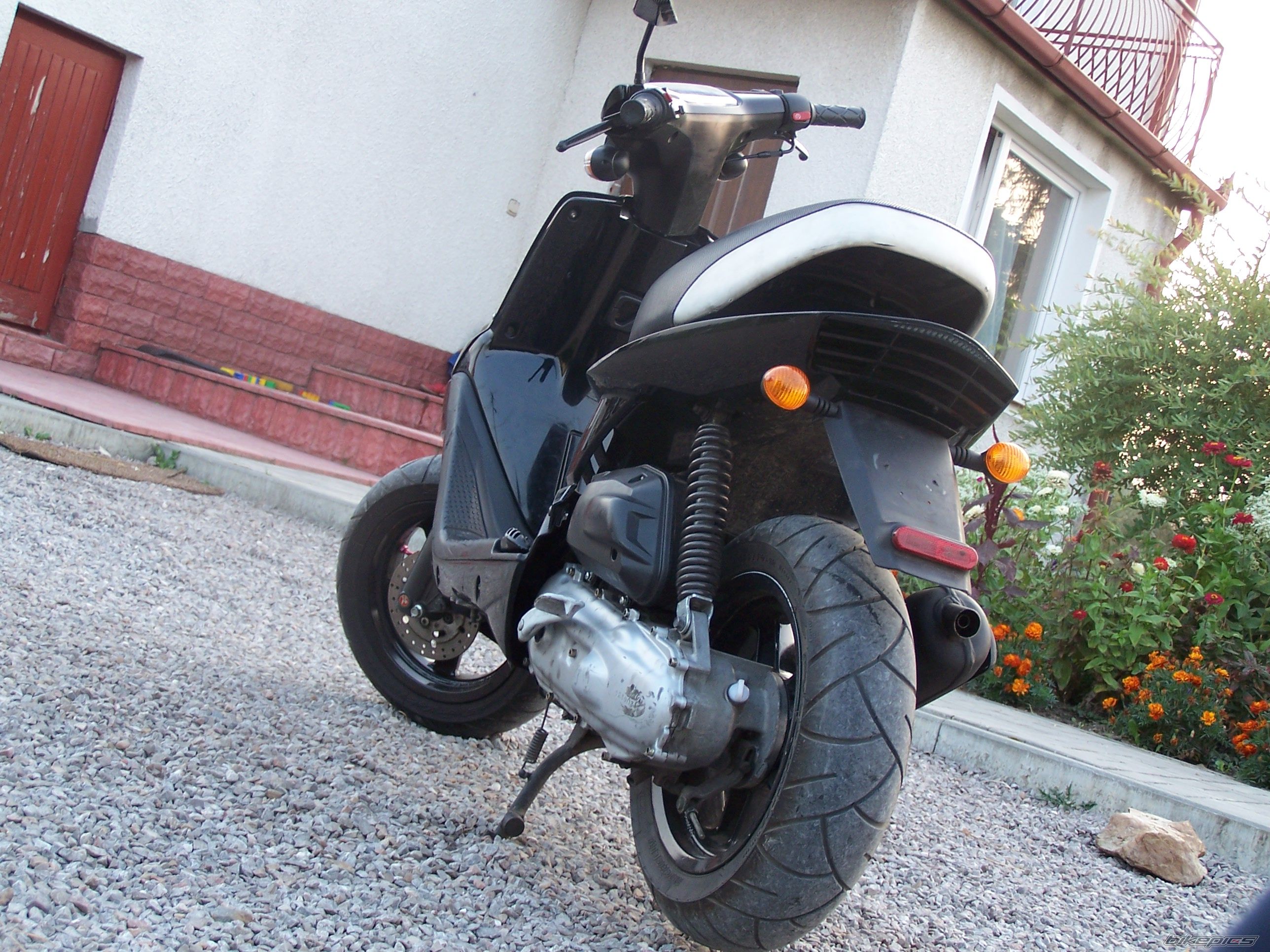 Photo 2386076