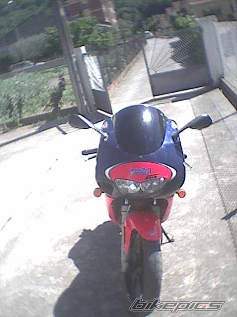 Photo 23862