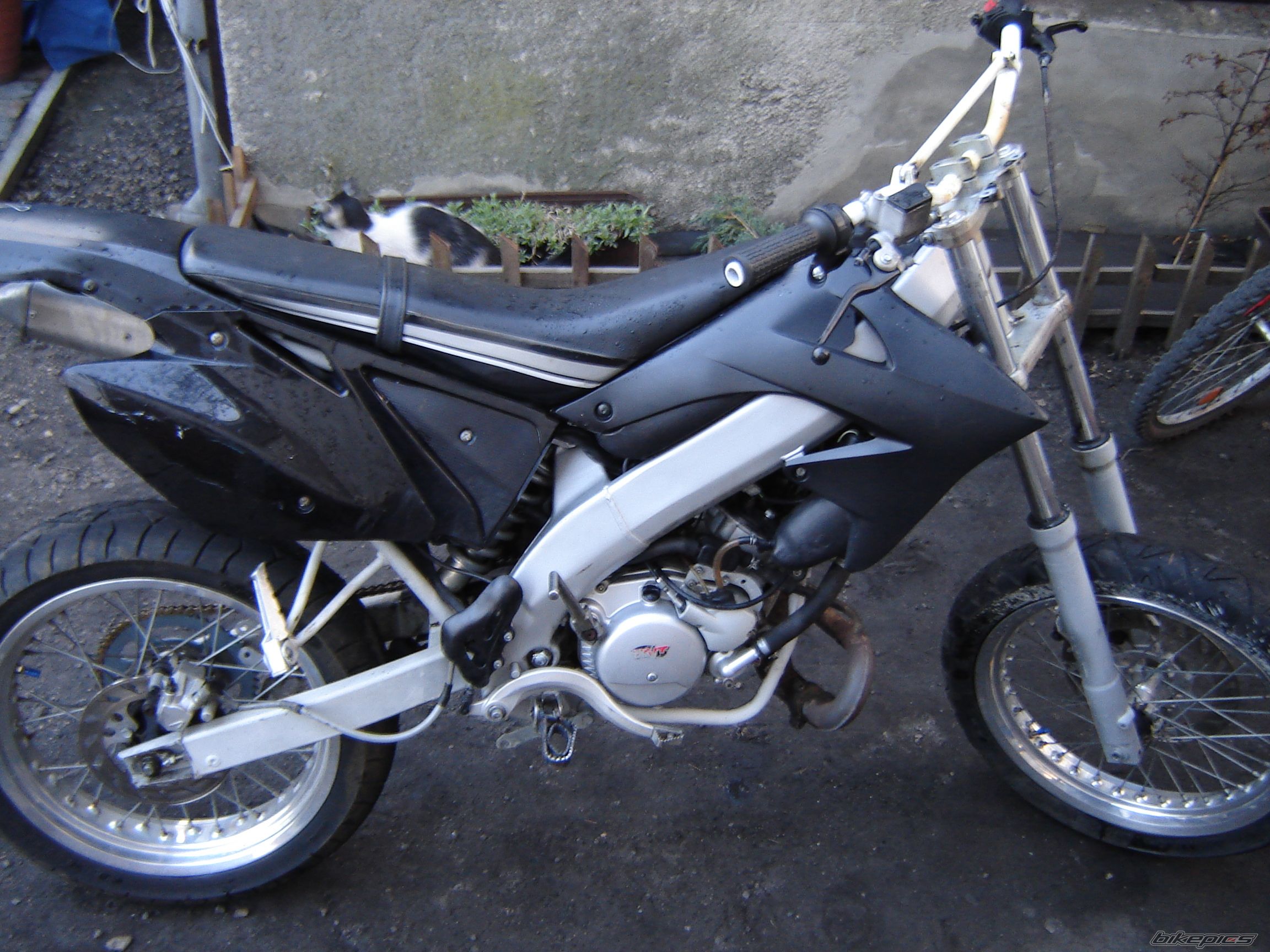 Photo 2386359