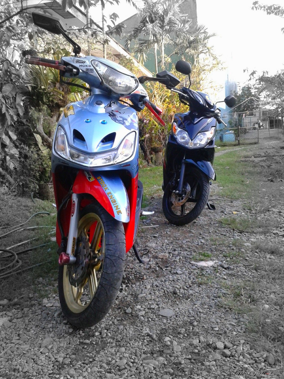 Photo 2386474