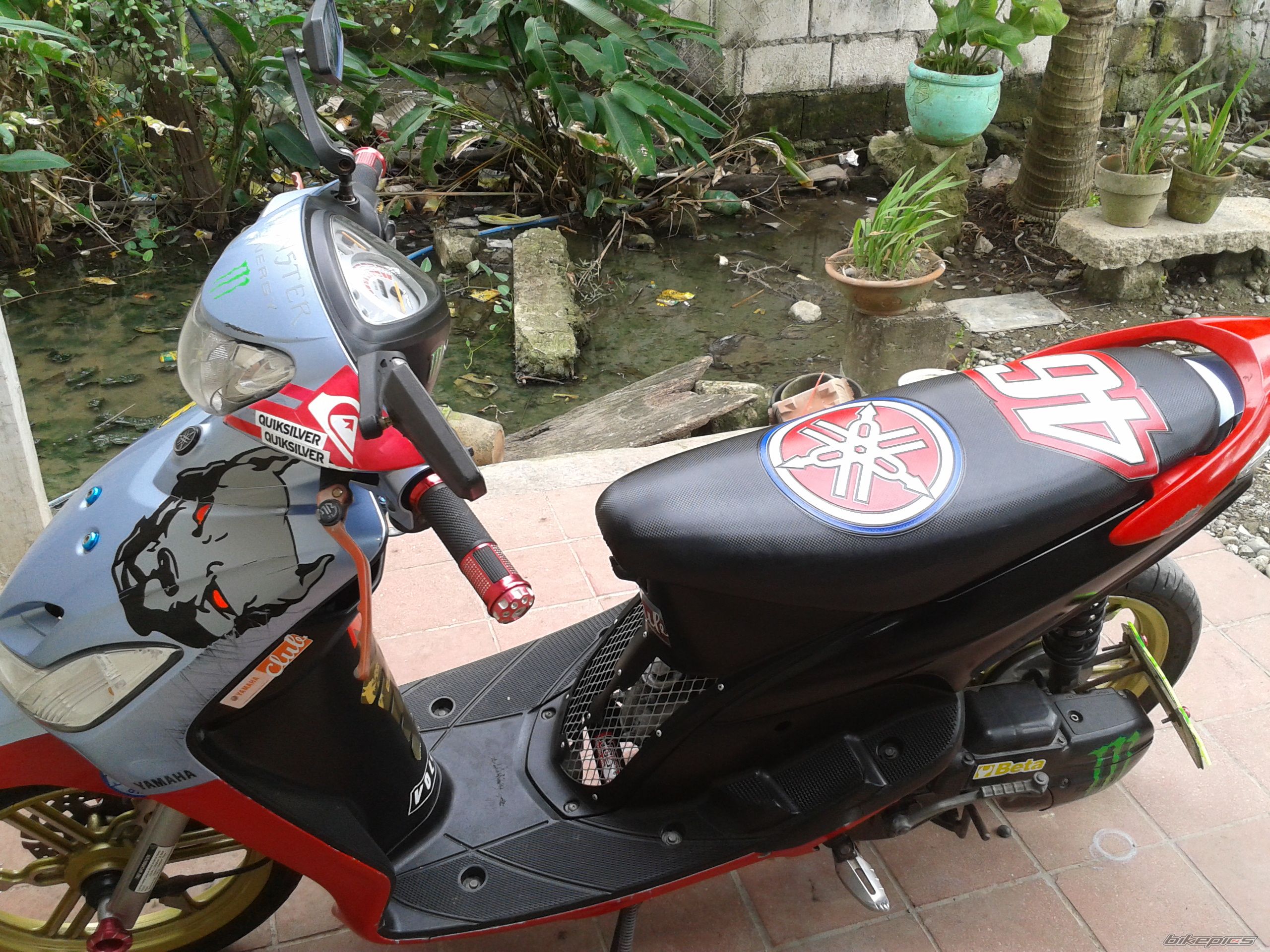 Photo 2386477