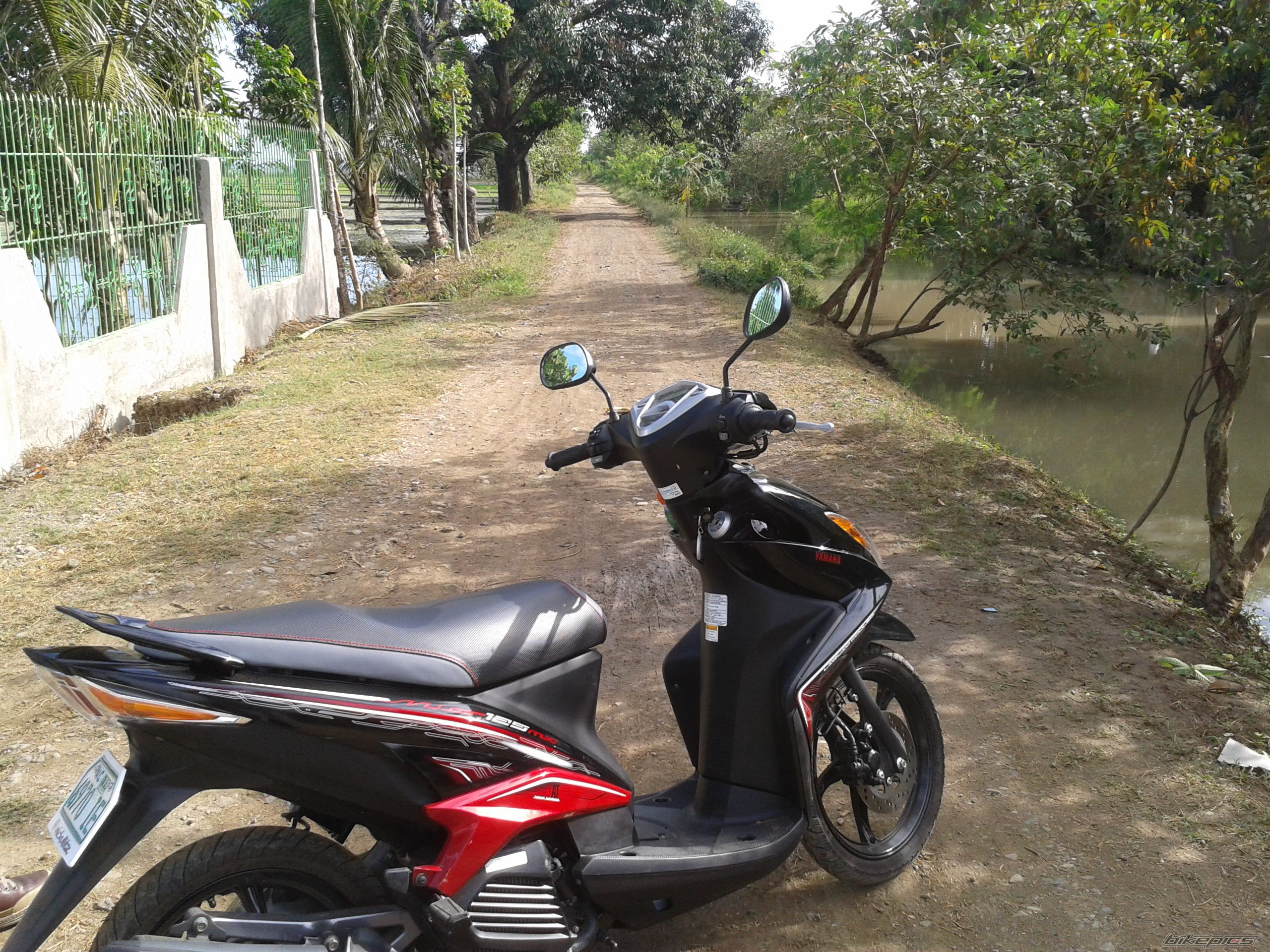 Photo 2386481